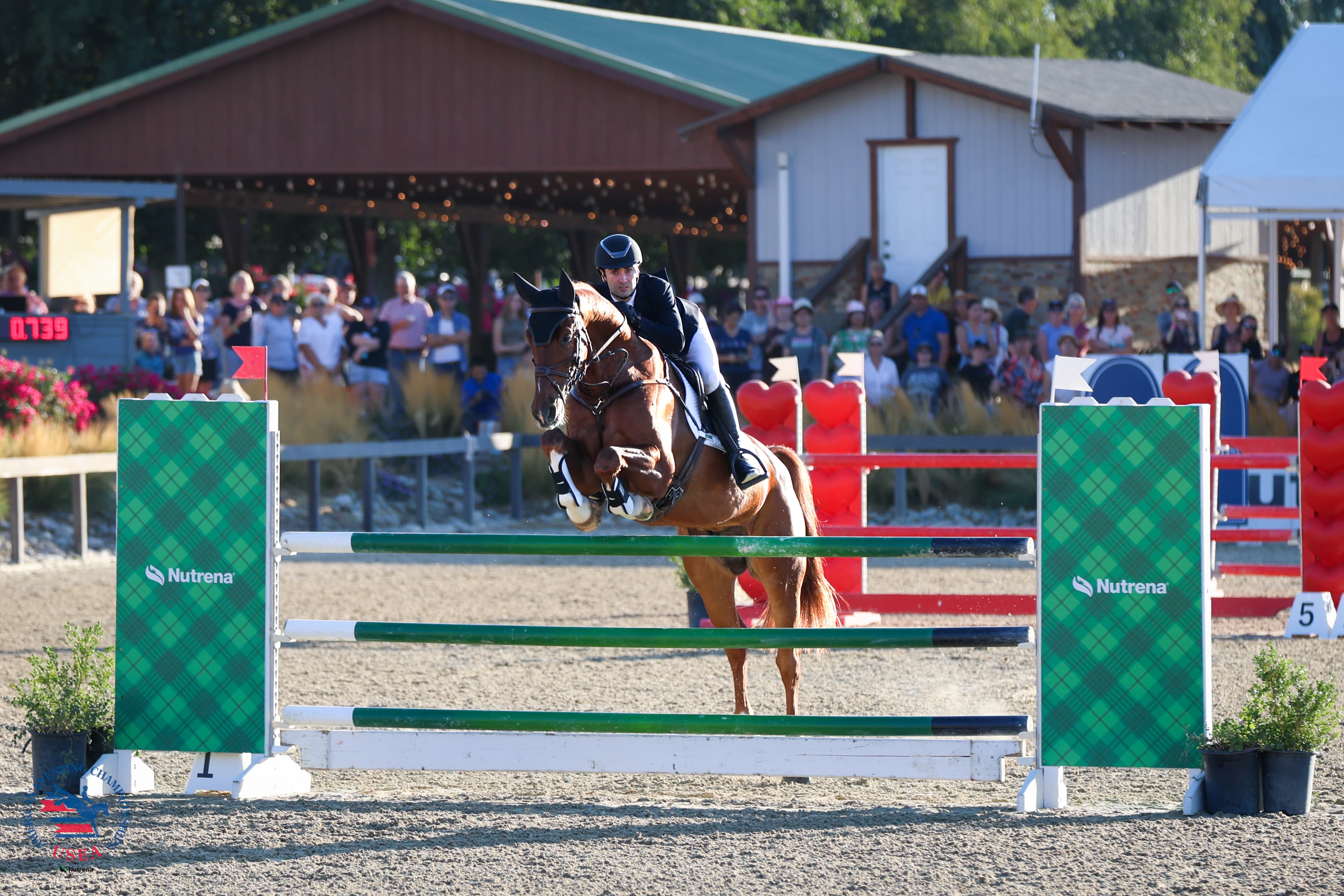 Greengard and That's Me Z Lead $60,000 Adequan® USEA Advanced Final From Start to Finish