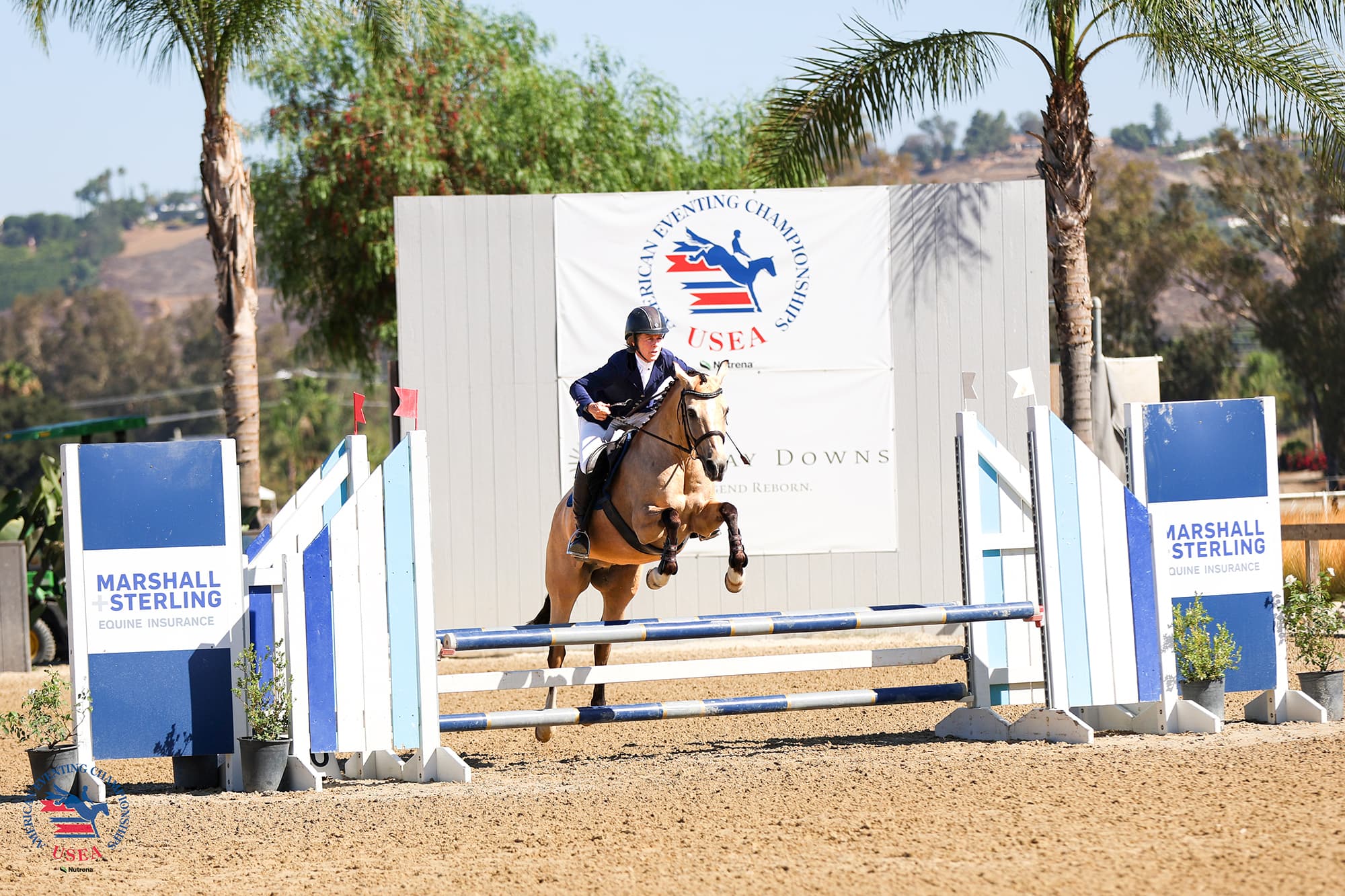 Beginner Novice and Starter Competitors Close Out #AEC2025