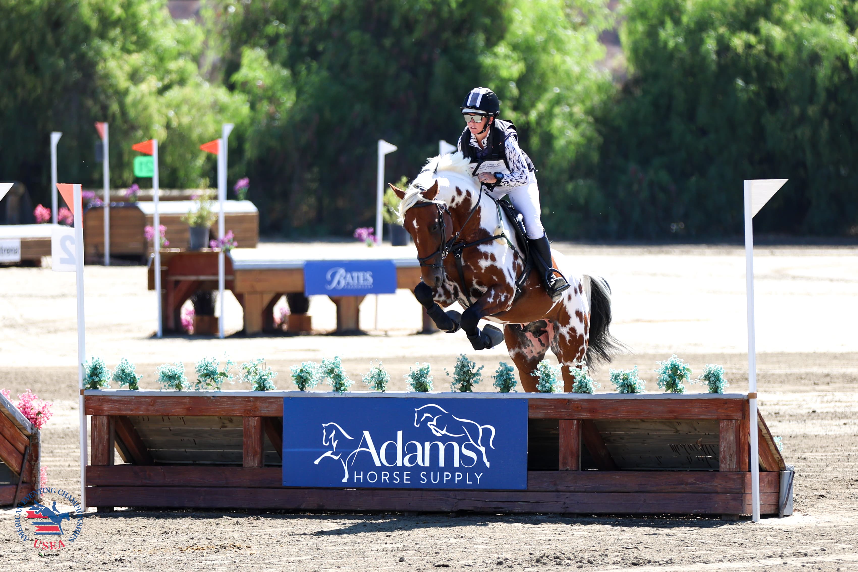 On Course at #AEC2025 with Novice and Intermediate Riders