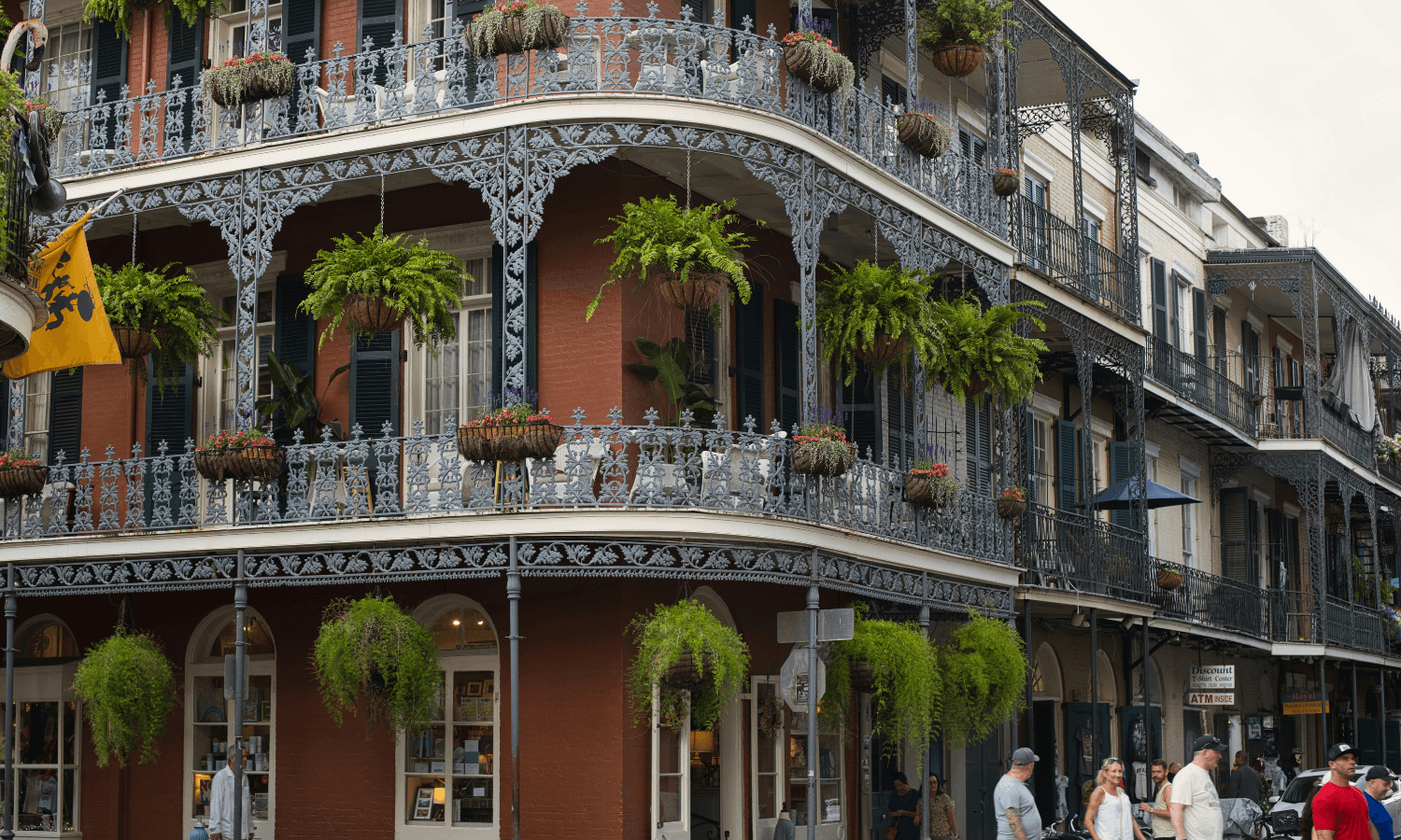 Registration Opens Today for 2025 USEA Annual Meeting & Convention in New Orleans