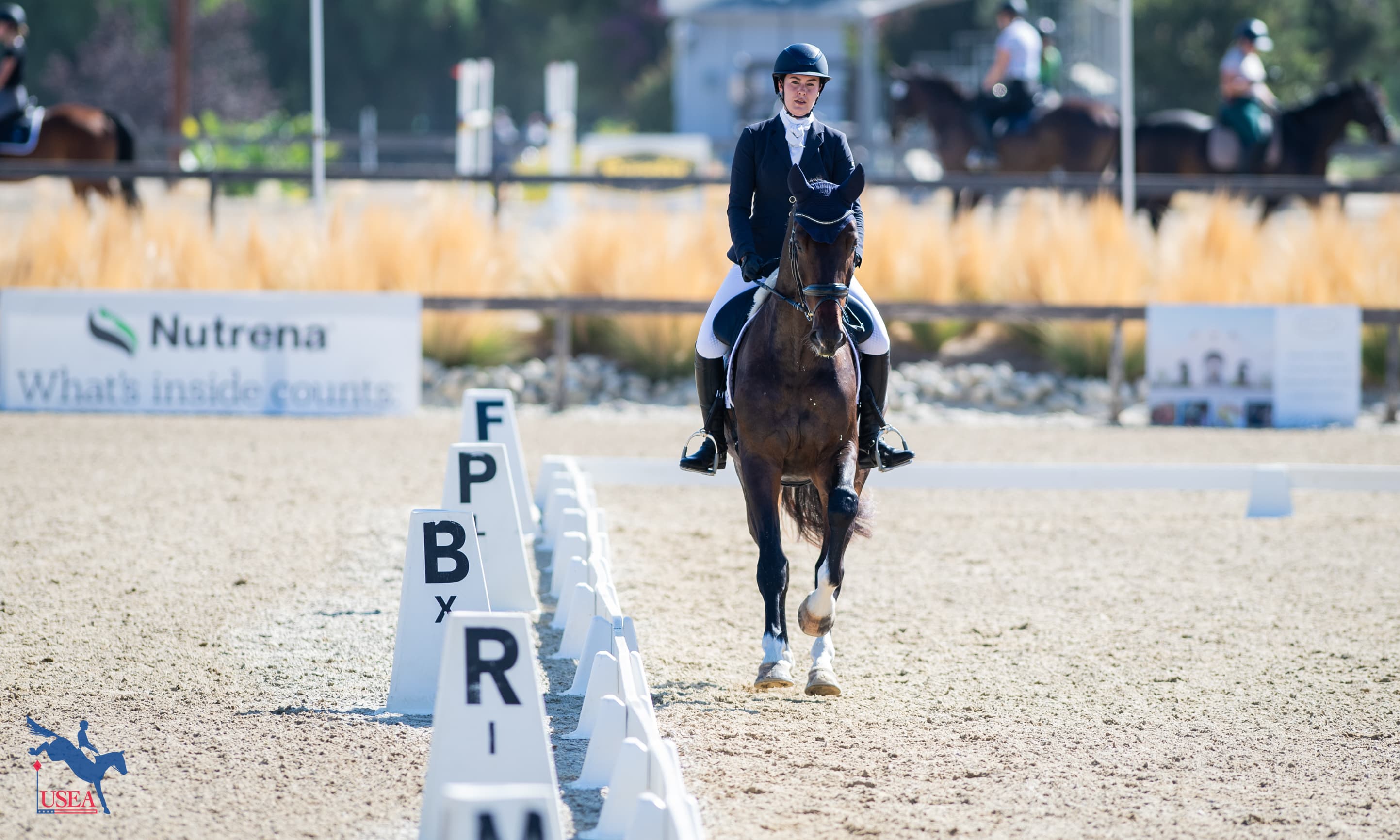 USEA and USEF Roll Out New and Improved Dressage Tests for 2026 Eventing Season