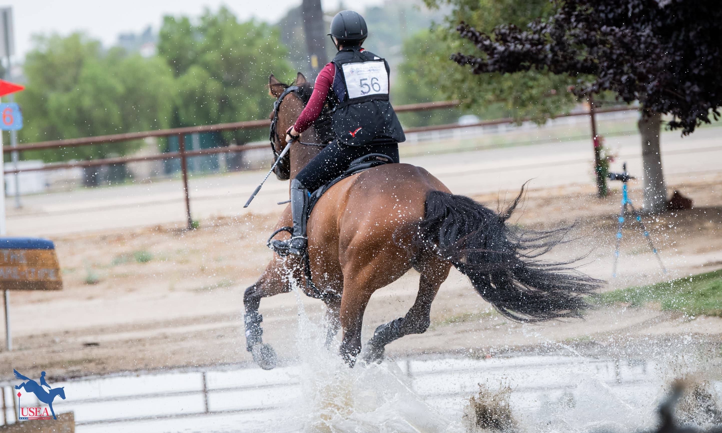 USEA Foundation Grant Deadline Reminders