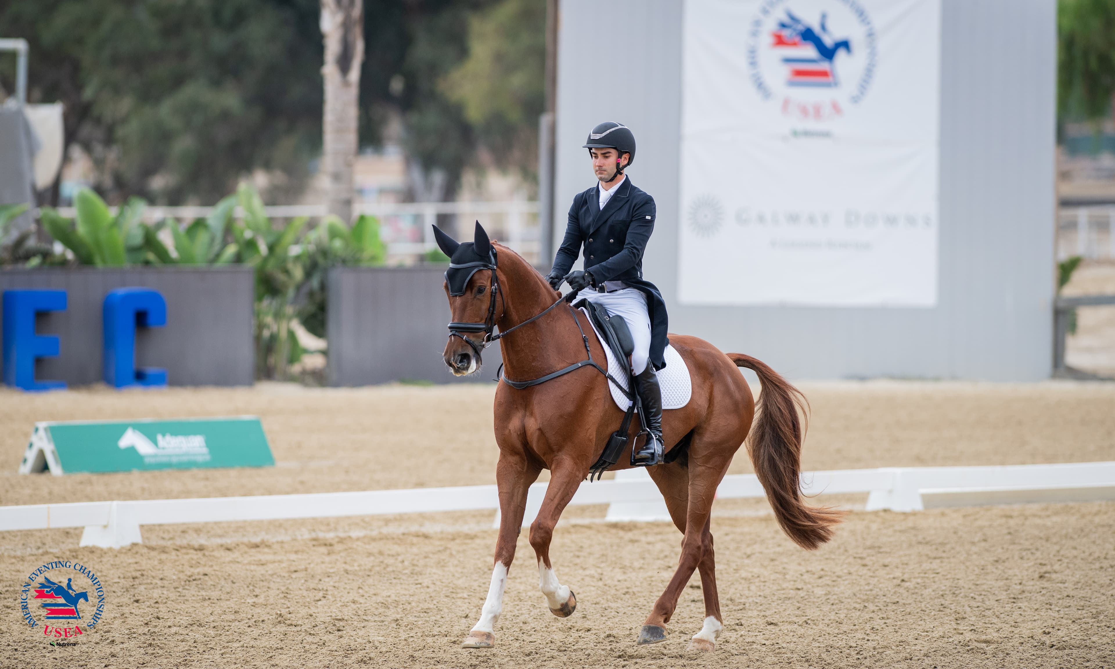 Greengard and That's Me Z Take the Early Lead in the $60,000 Adequan USEA Advanced Final at the AEC
