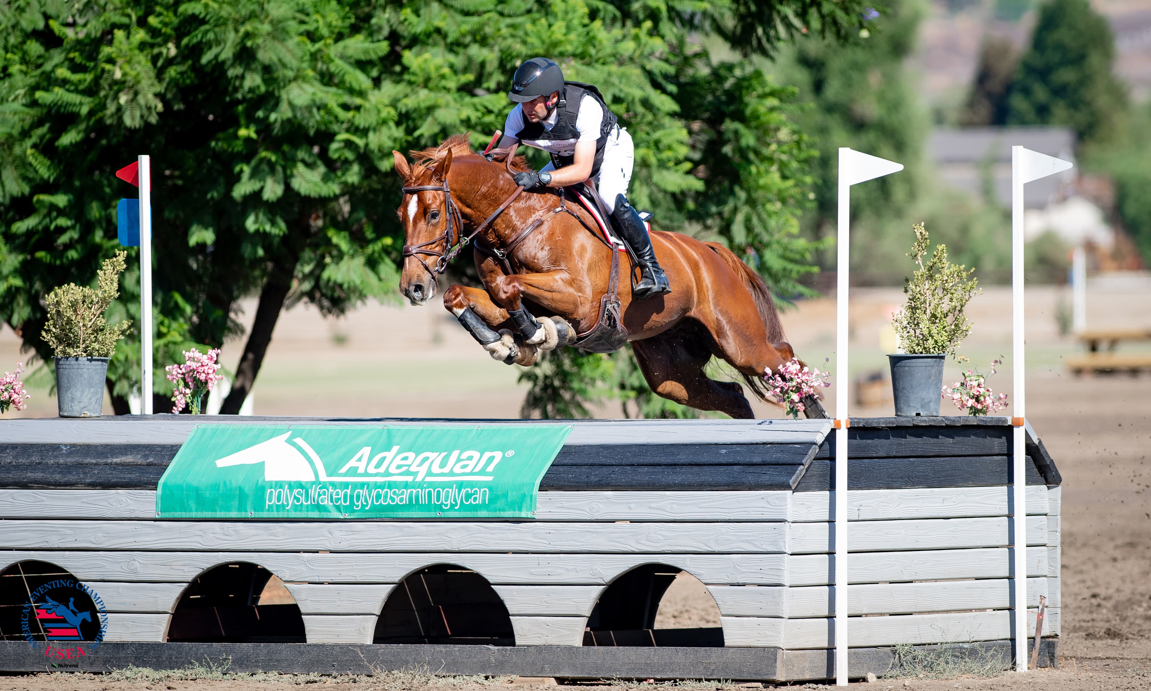 Greengard and That’s Me Z Stay on Top After Cross-Country in $60,000 Adequean USEA Advanced Final