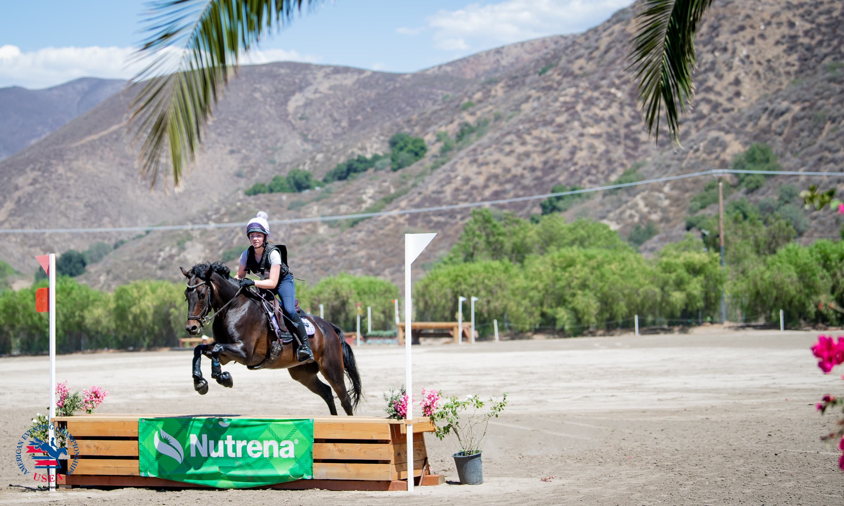 Through the Lens: 2025 USEA American Eventing Championships presented by Nutrena Feeds