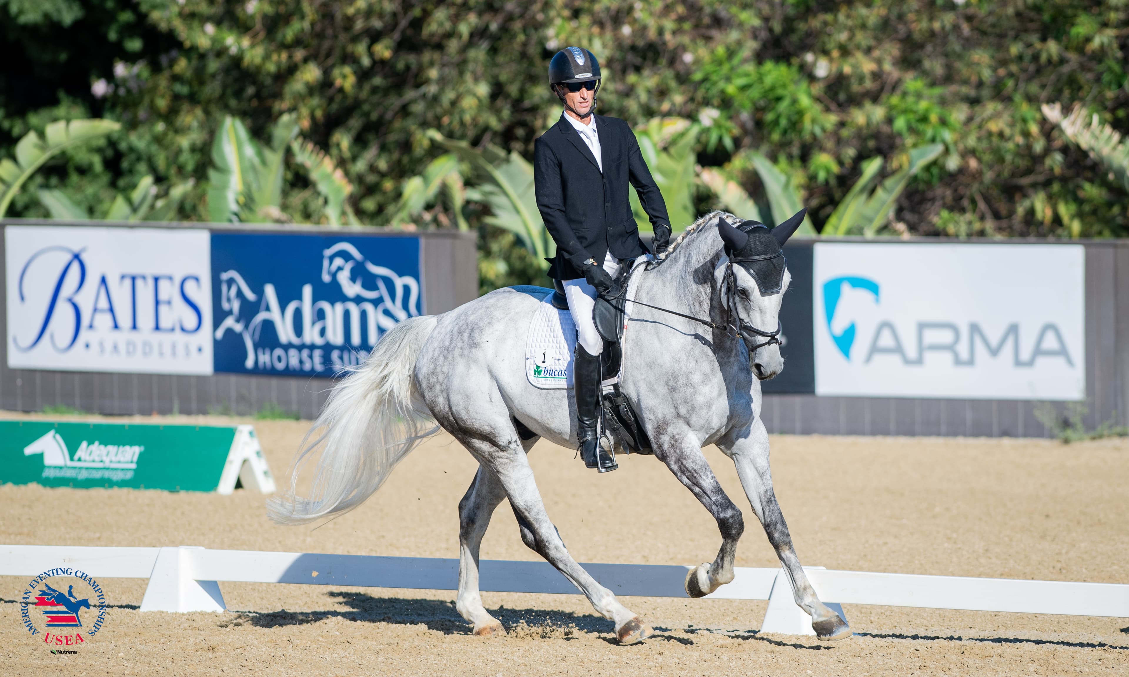 Dressage Day 1 is Done at #AEC2025