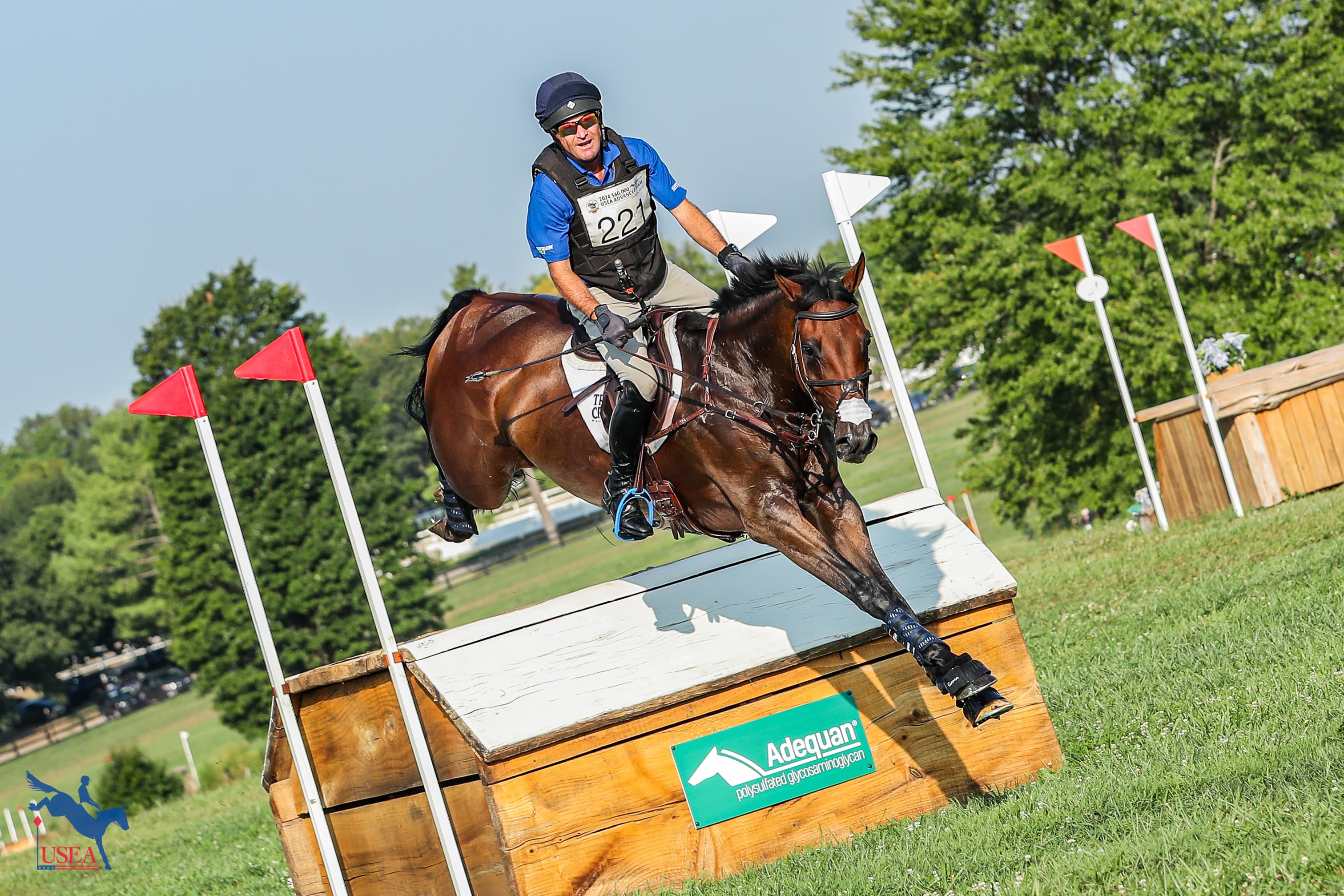 Be Your Horse’s Joint Health Champion