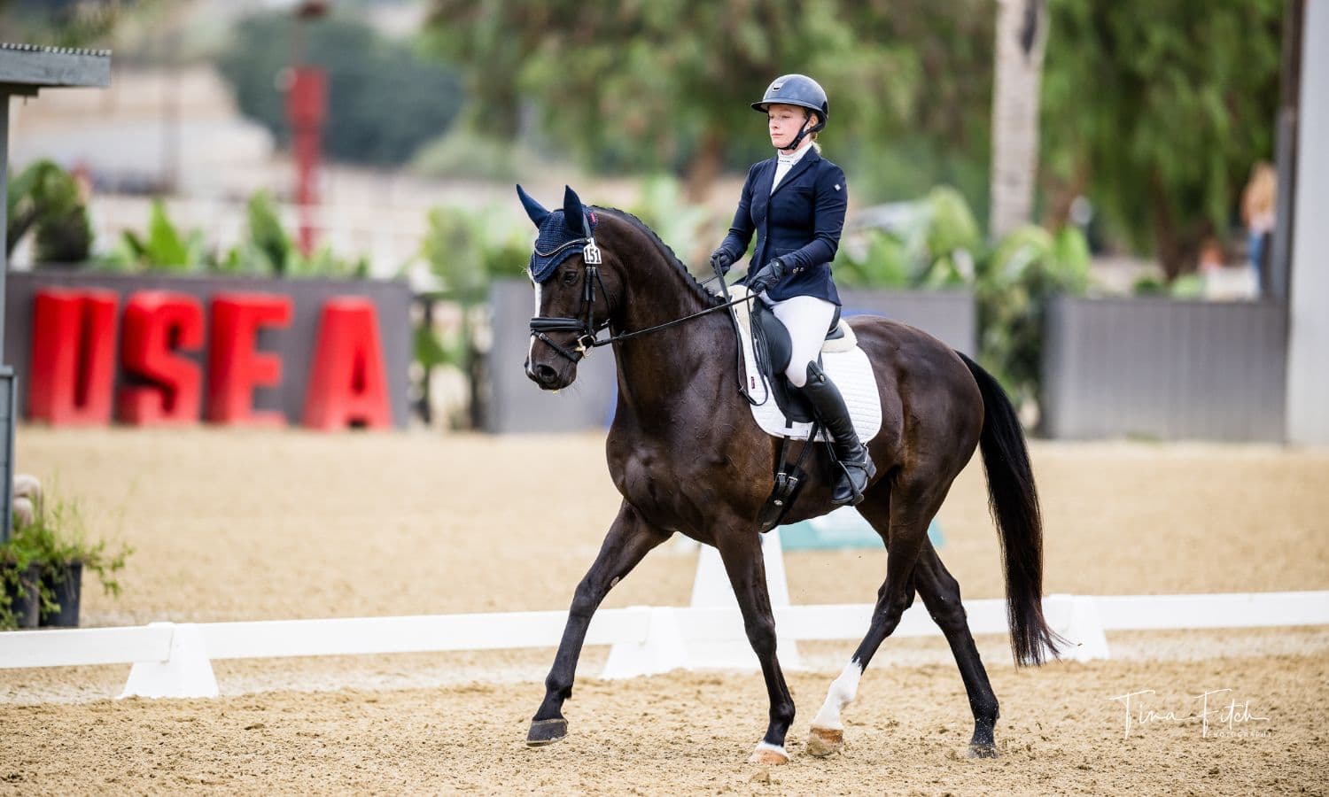 Novice and Intermediate Competitors Dance in the Dressage Ring on Day 2 at the #AEC2025