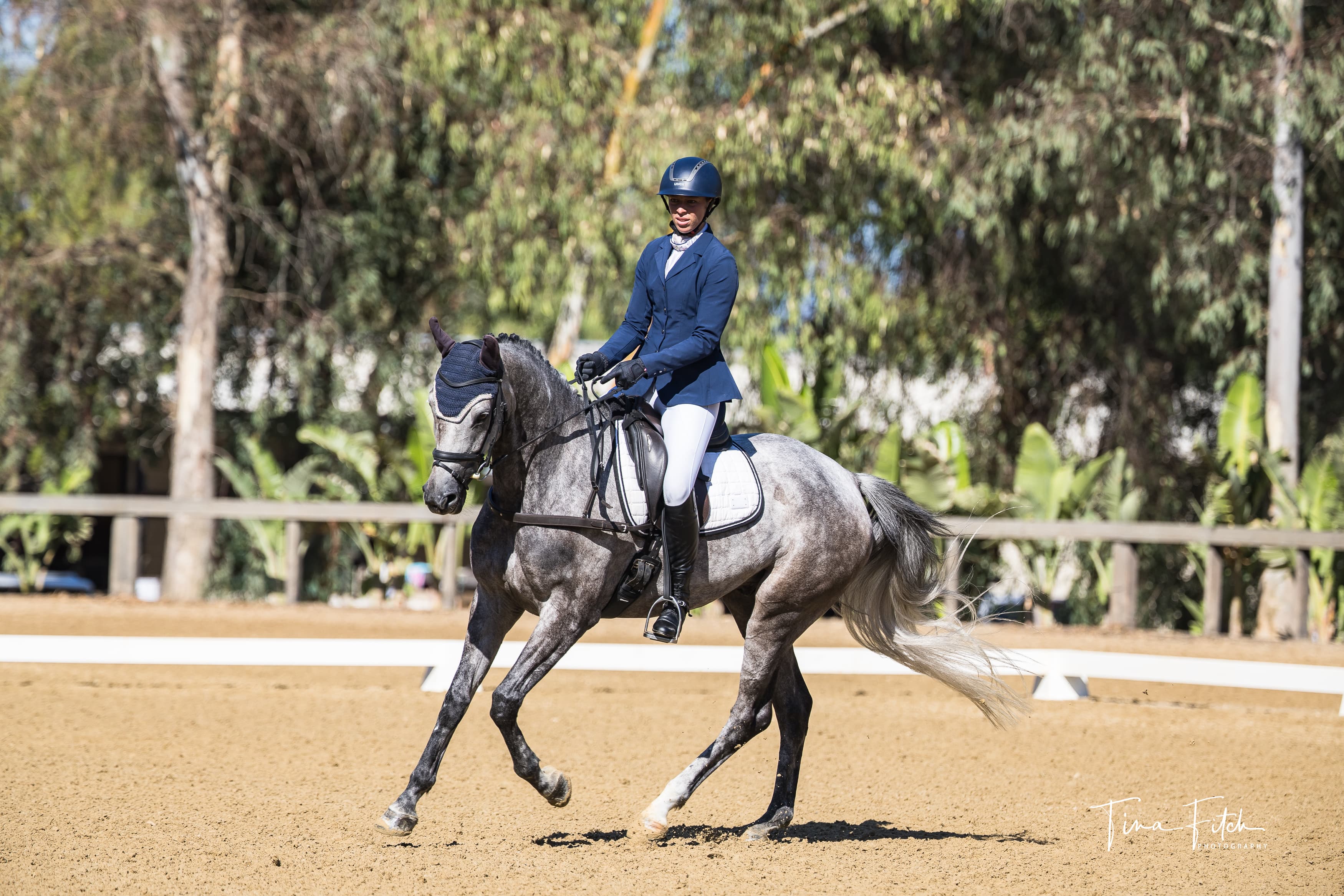 Dressage Concludes on Day 3 of the #AEC2025