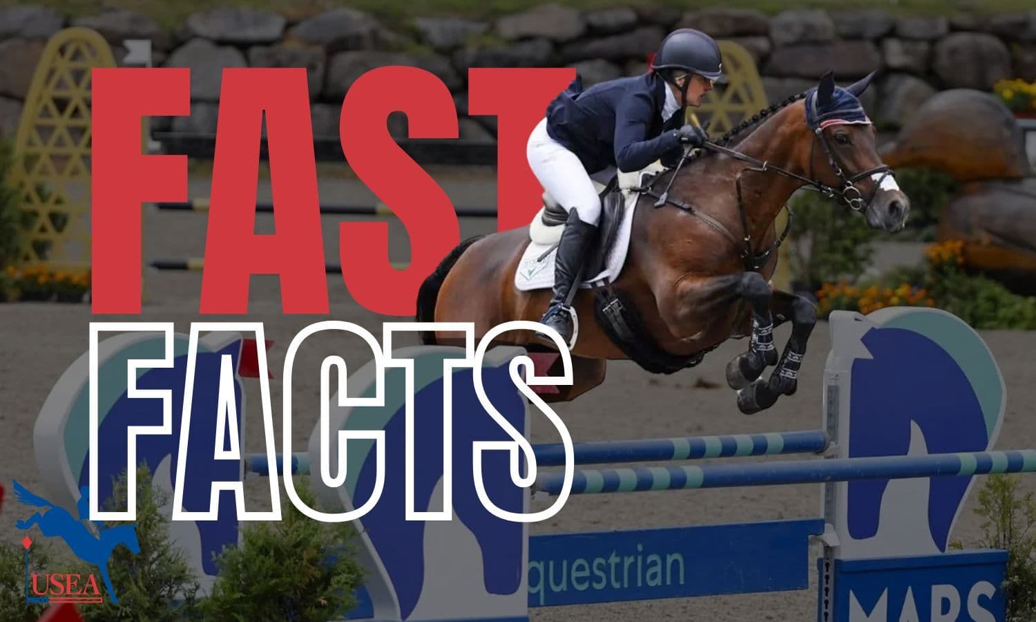 Fast Facts: MARS Bromont CCI