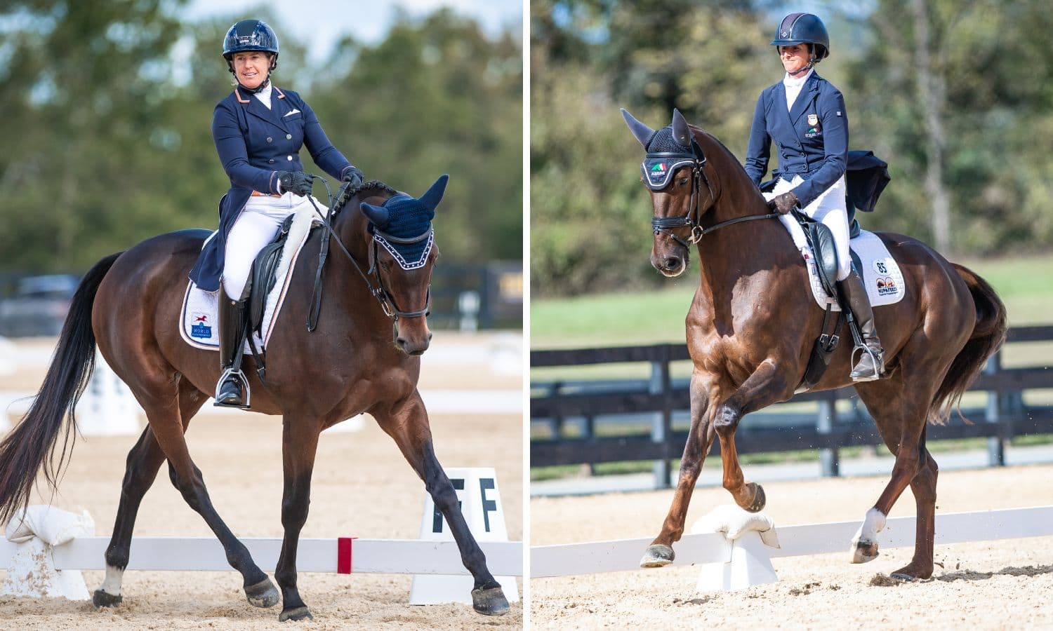 Brannigan and White Take Early Leads in USEF/USEA Developing Horse National Championships at Morven Park
