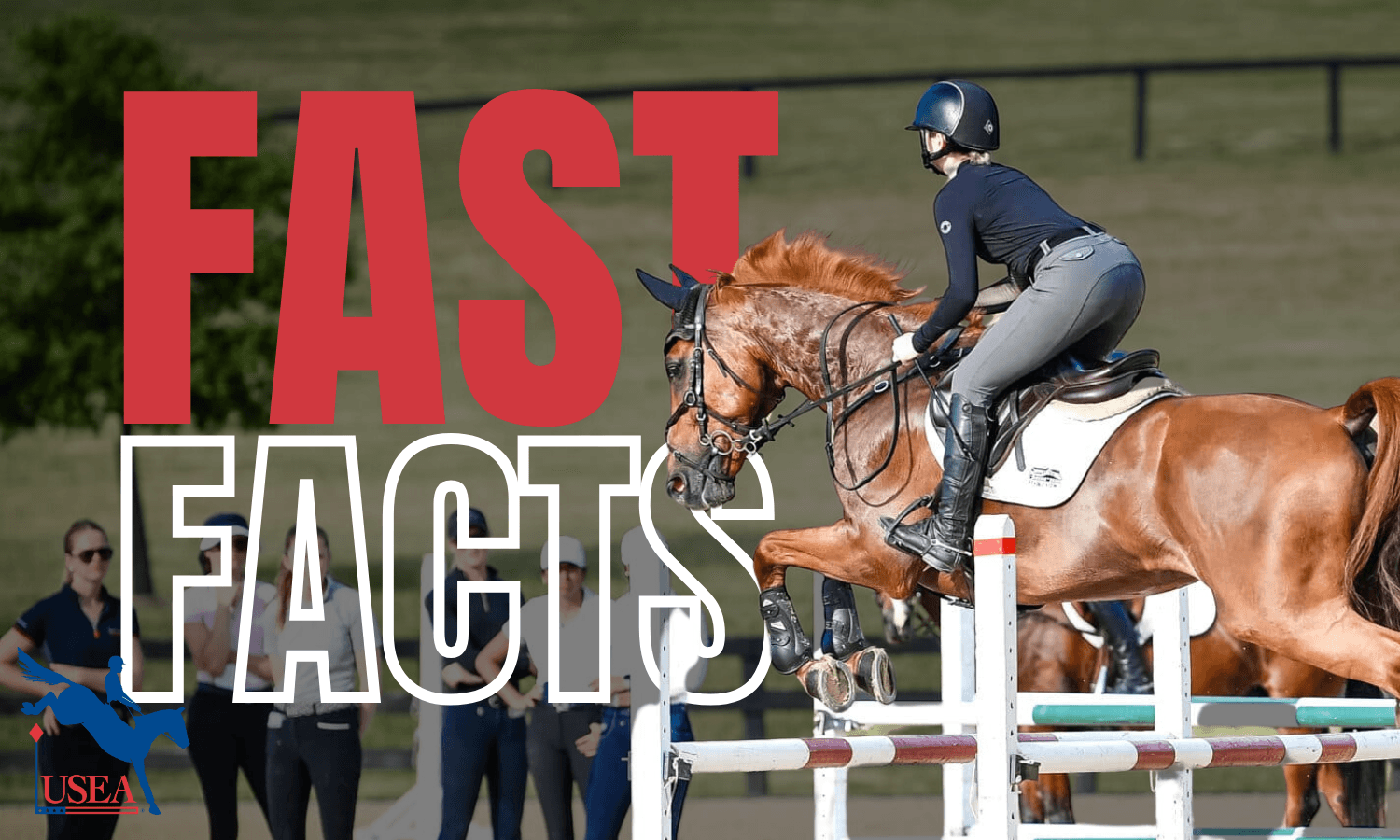 Fast Facts: 2025 USEA EA21 Regional Clinics