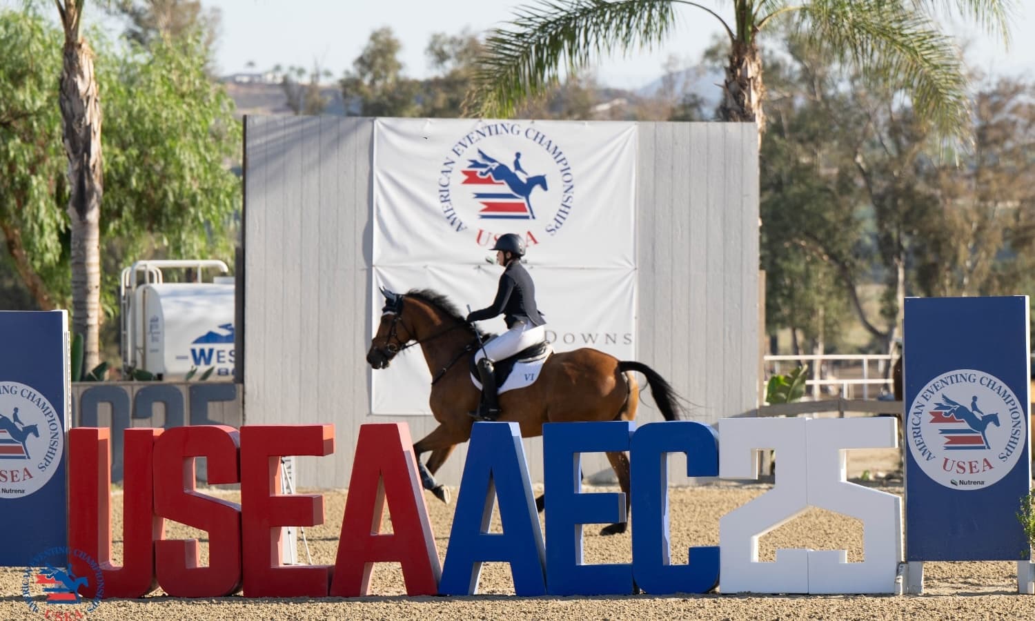 The #AEC2025 Daily: Sunday