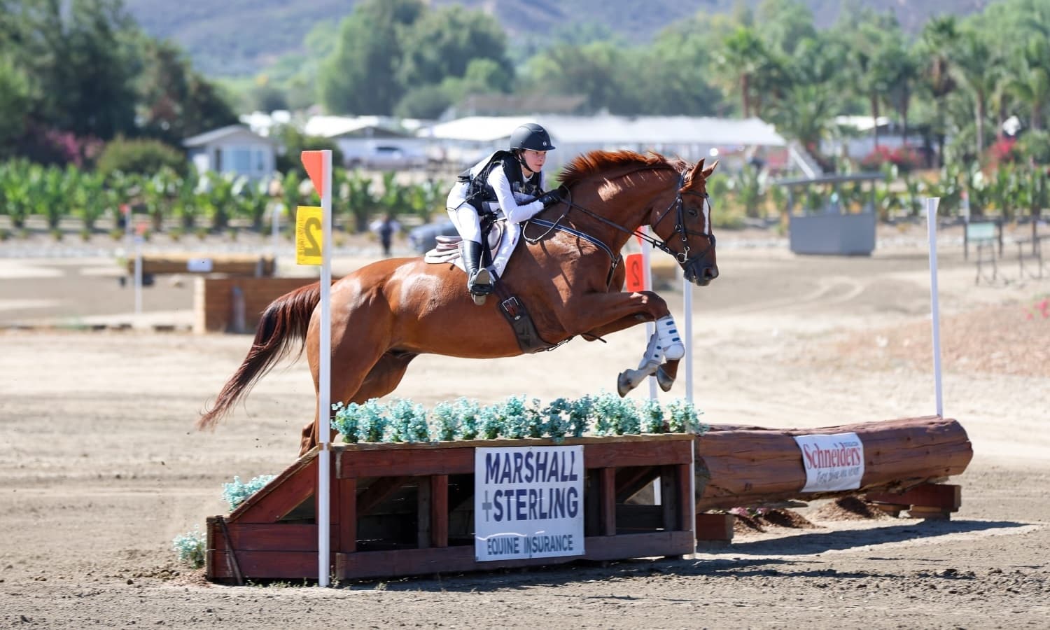 Cross-Country Concludes with Beginner Novice and Starter at #AEC2025