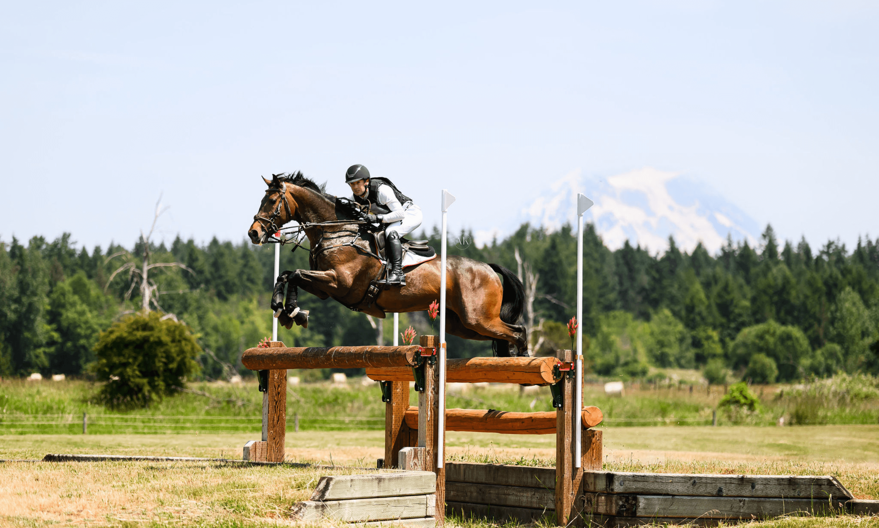 Tommy Greengard Wins the CCI4*-S, CCI3*-S, and more at Aspen Farms Horse Trials