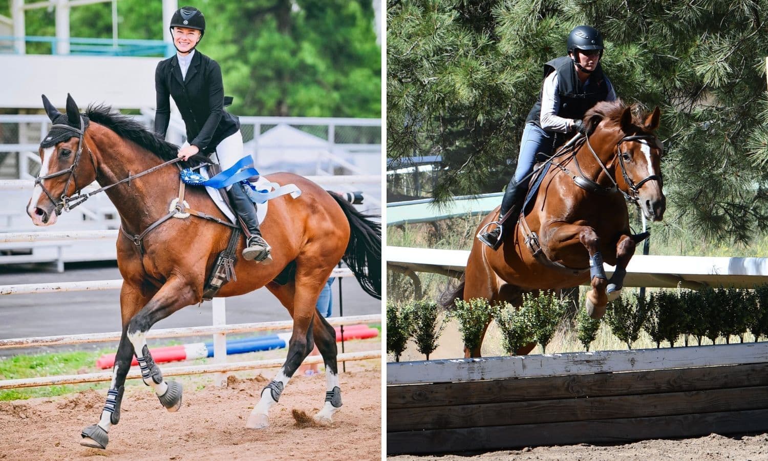 An Unforgettable Experience at the USEA Classic Series at Coconino HT