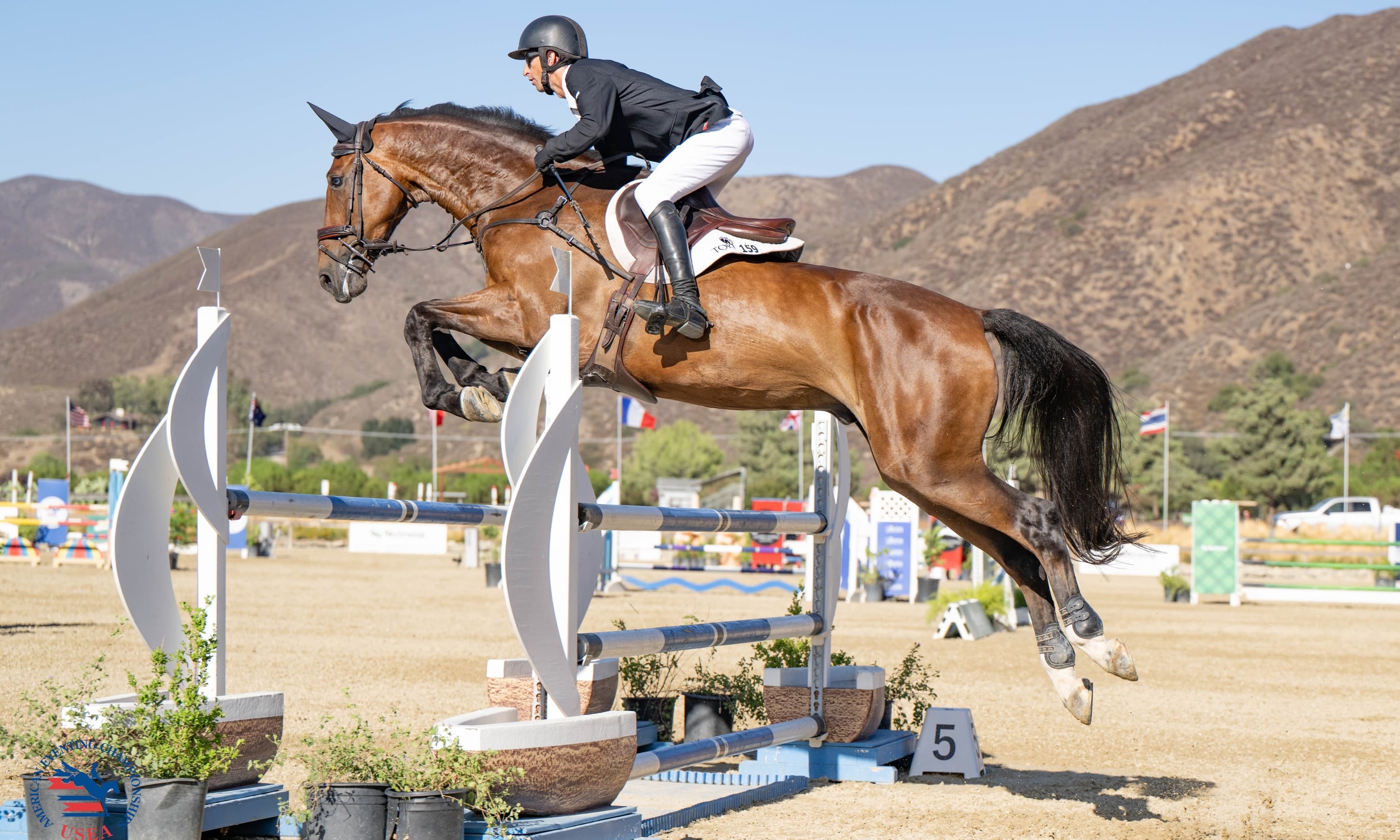 From Video to Victory: Alliston and HMR Rolan Crowned #AEC2025 USEA Open Intermediate Champions