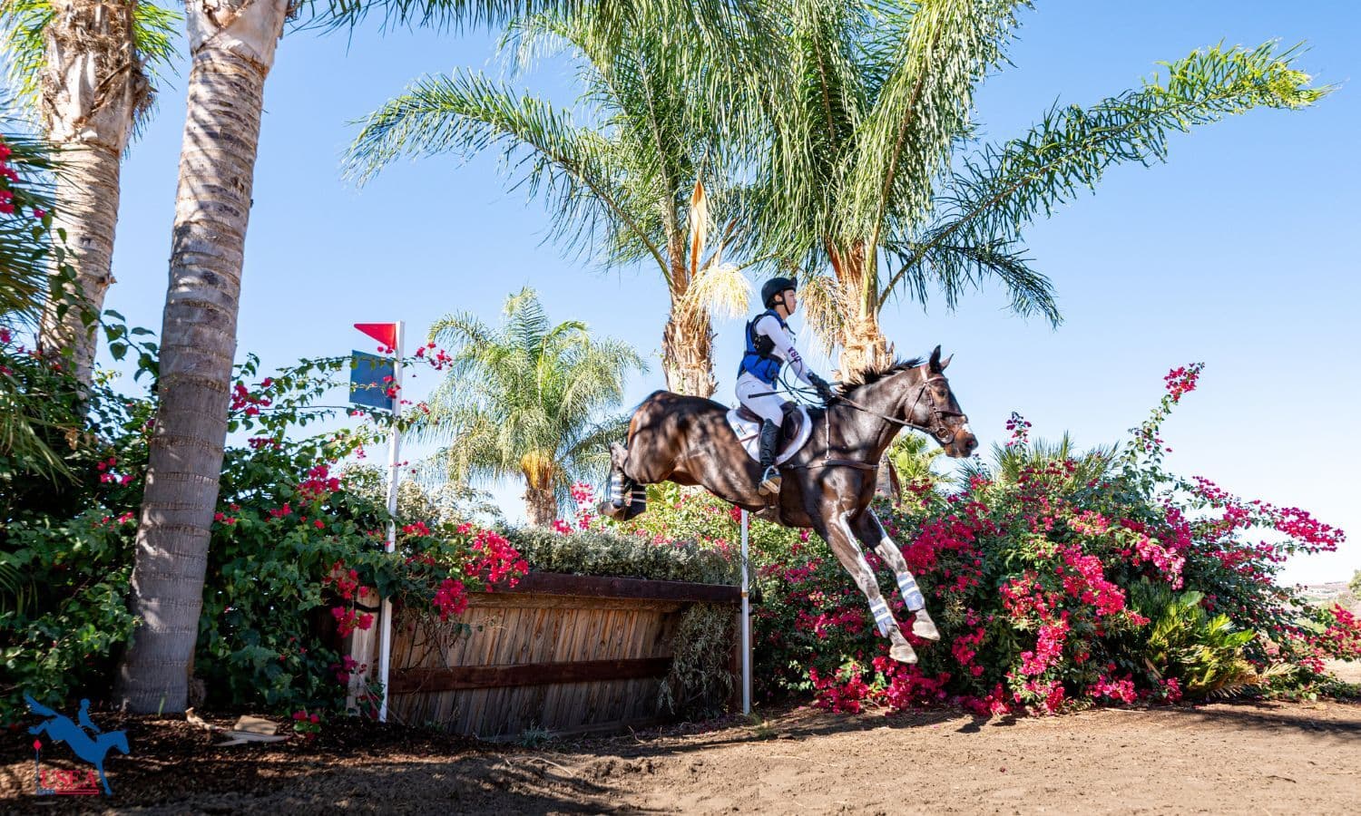 2025 AEC To Offer Early Stabling Arrangements and Festival Classes