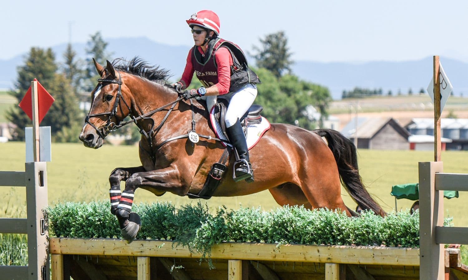 Road to the AEC: Jeanne Carley Hopes the Third Time is the Charm with Shannondale Fionn