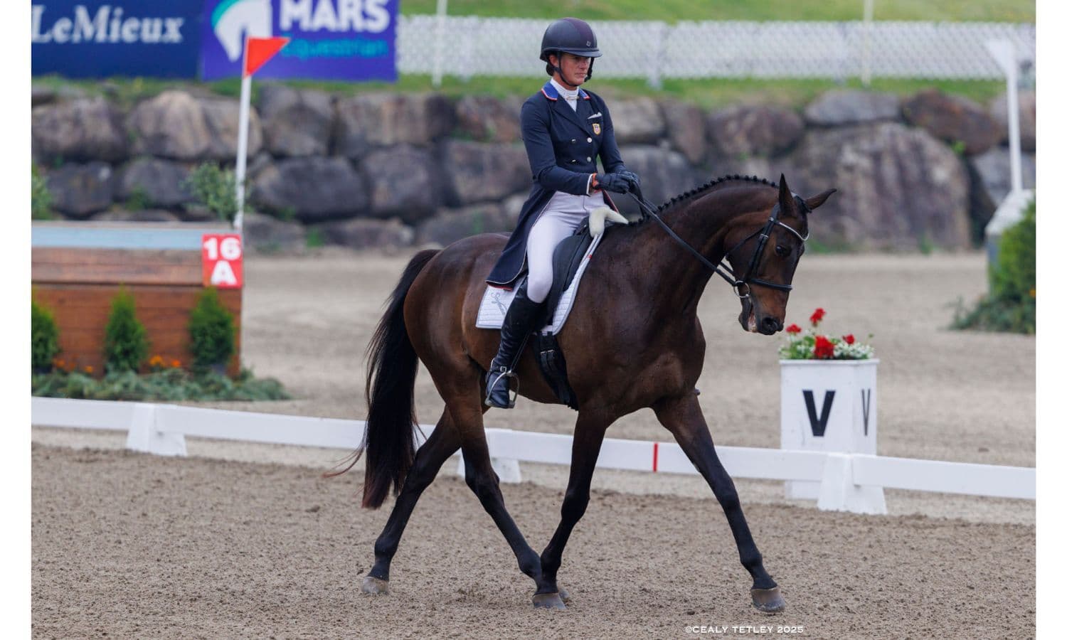 Nicholson Takes the Cake in CCI4*-S at MARS Bromont CCI