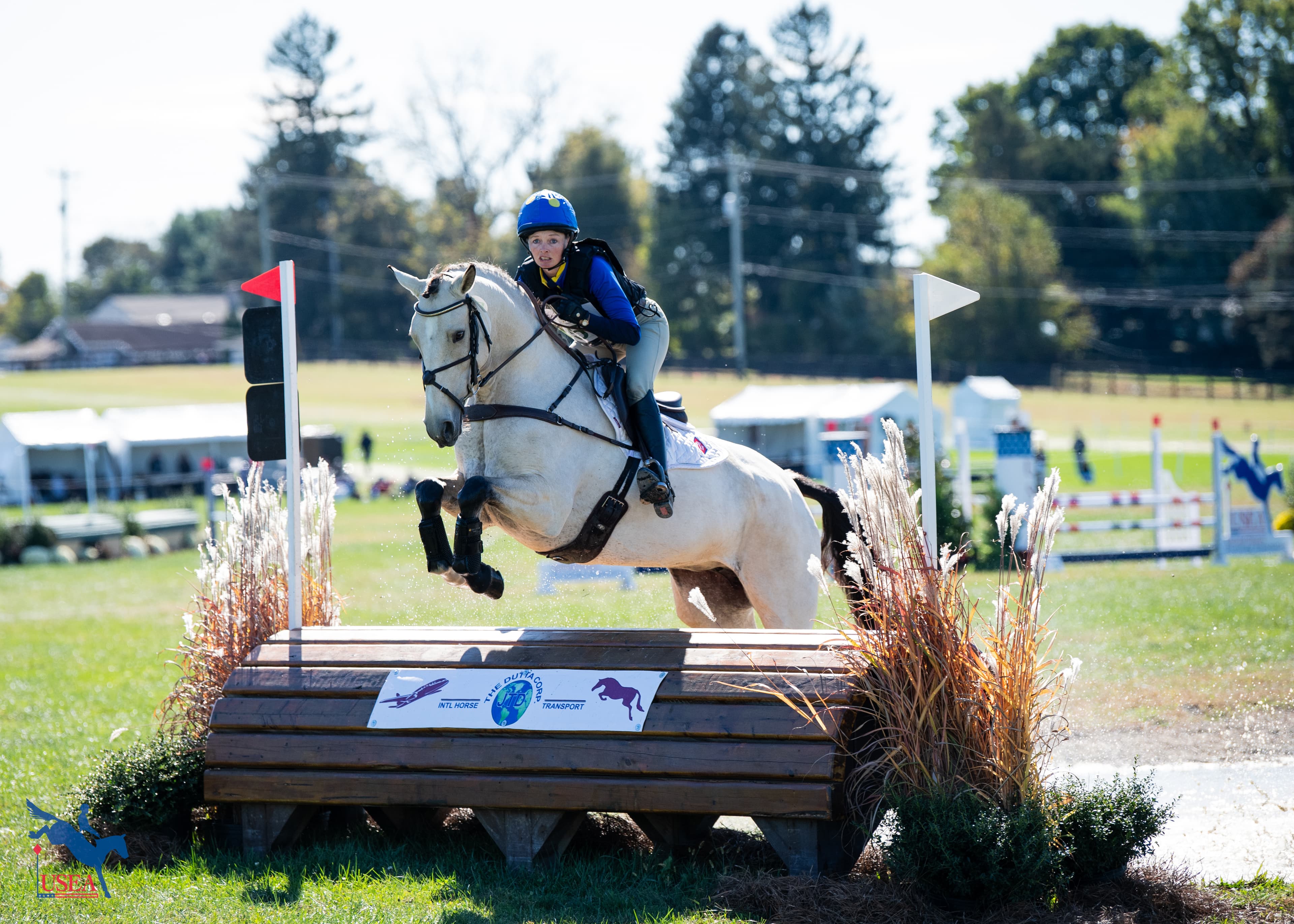 Pine Top Penny Belline and MBF Mirror Image Impress Judges at USEA Young Event Horse East Coast Championships presented by Dubarry of Ireland
