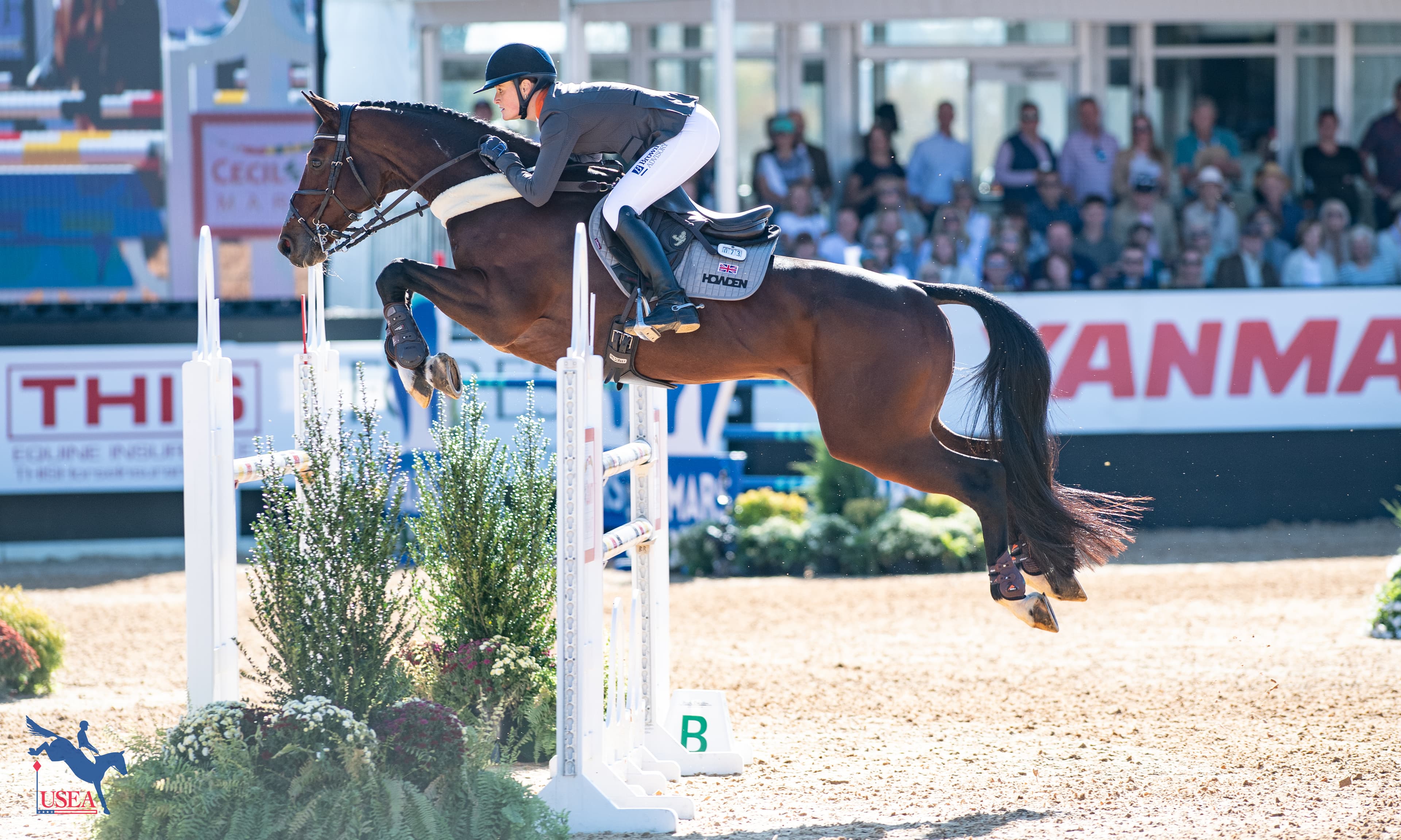 The Maryland 5 Star Daily: Show Jumping