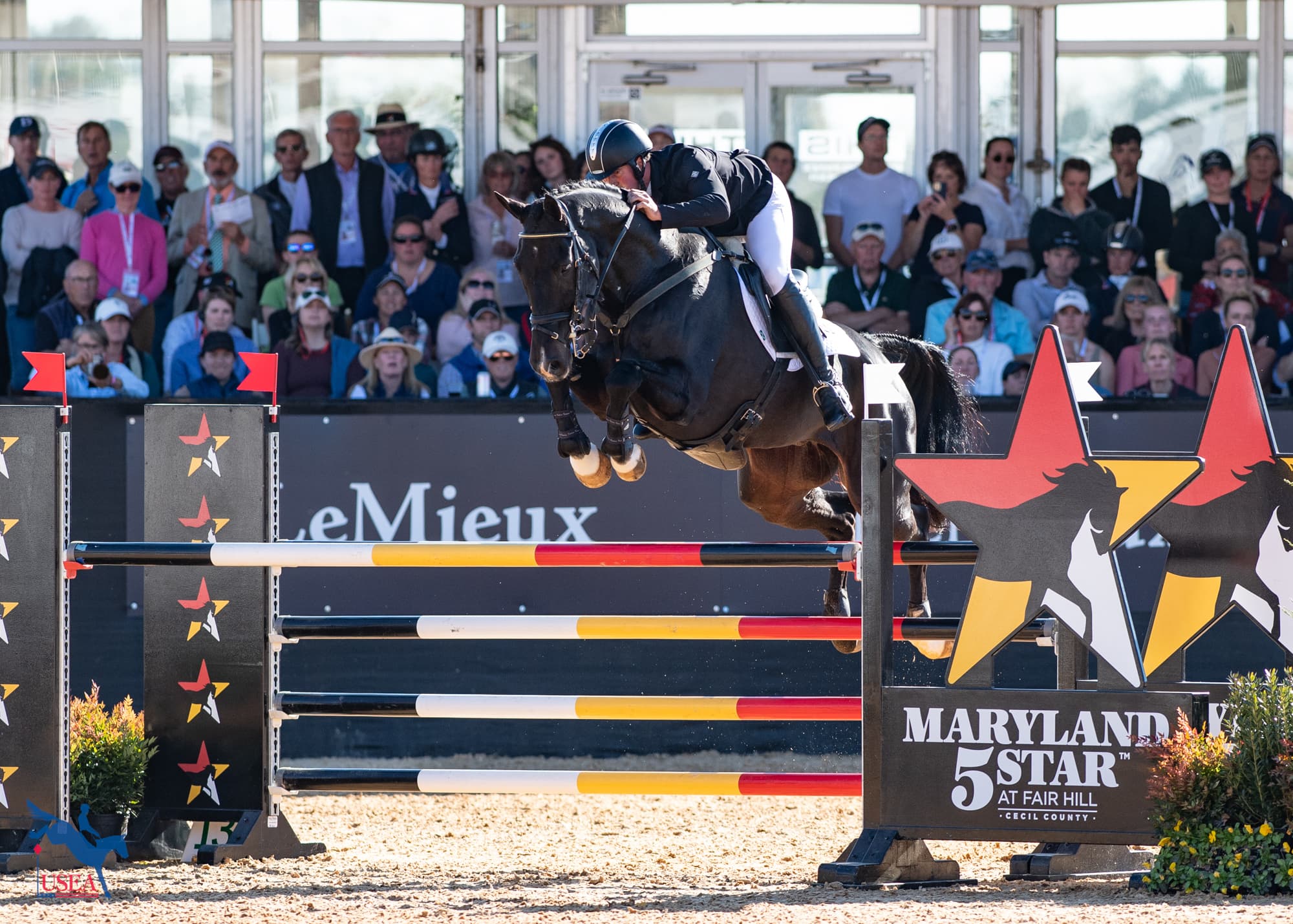Meet the 24 Entries in the MARS Maryland 5 Star CCI5*