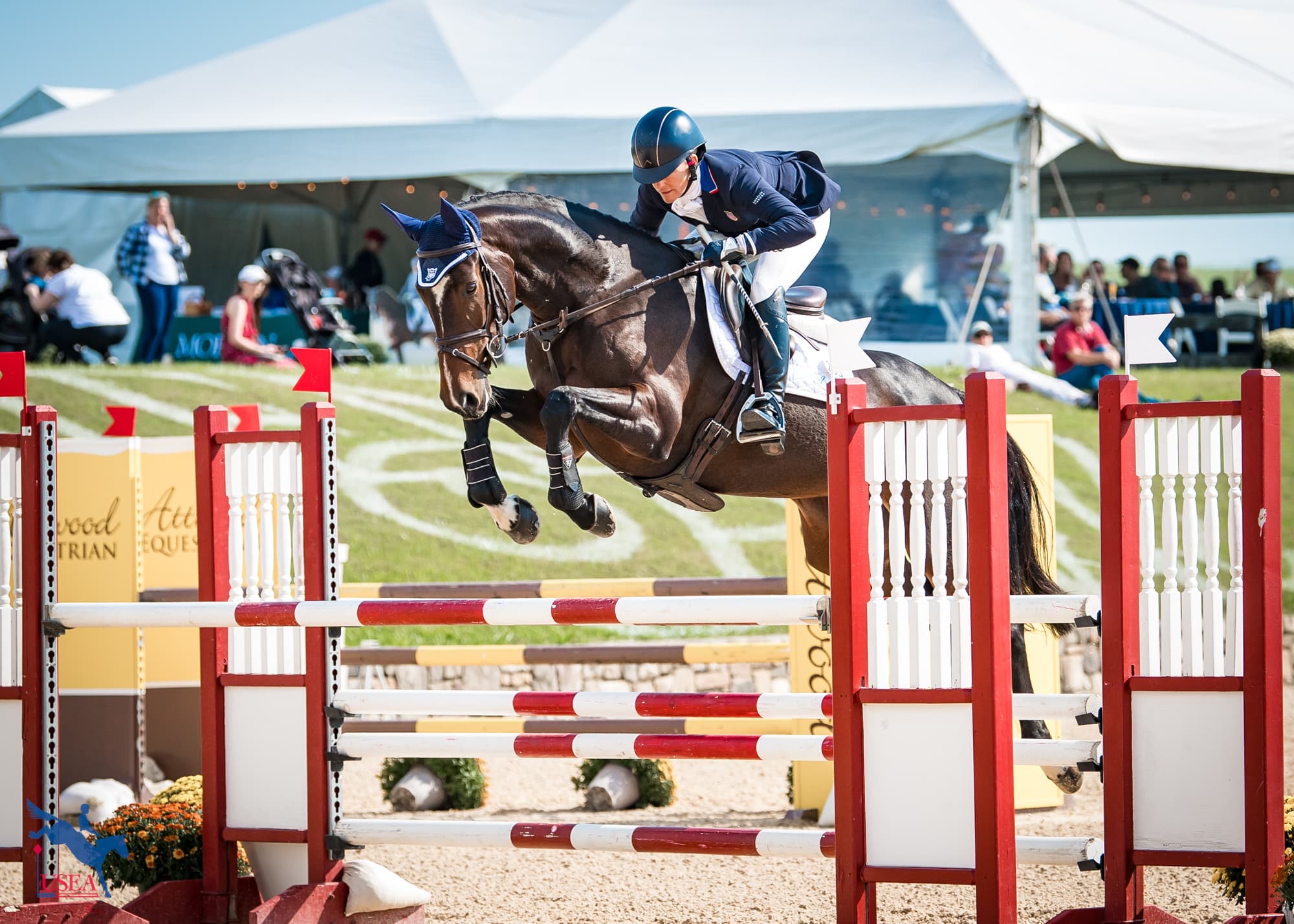 A Look Into the 2025 USEF/USEA Developing Horse Championships