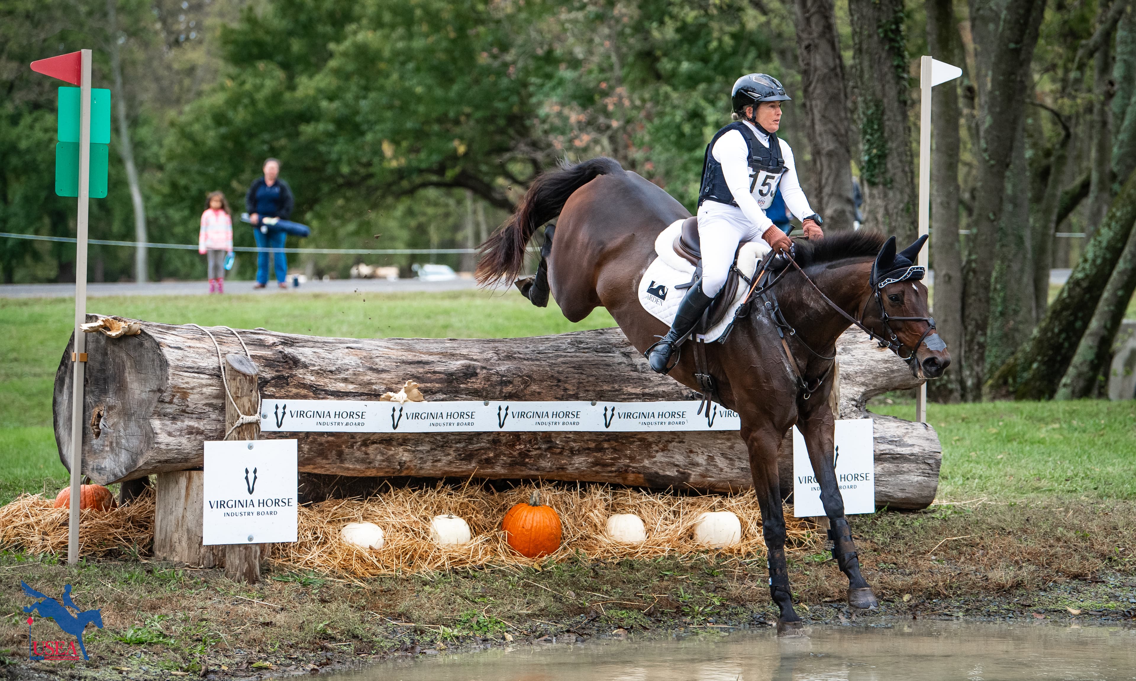 Homebred Arden Janeway Leads USEF/USEA Developing Horse National Championship CCI2*YH-S