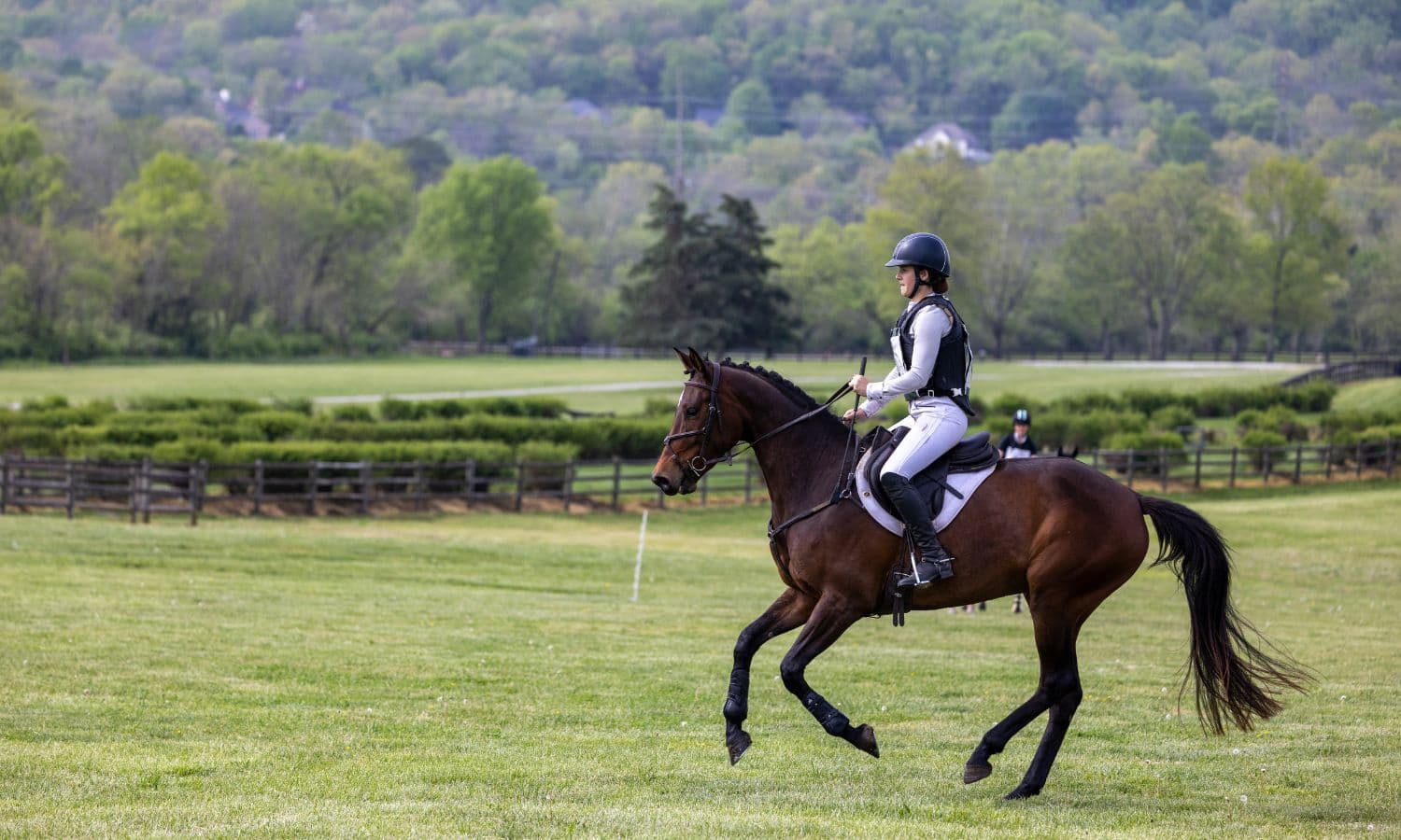 Middle Tennessee Pony Club to Host Young Event Horse Qualifier Sept. 7 at Historic Percy Warner Park