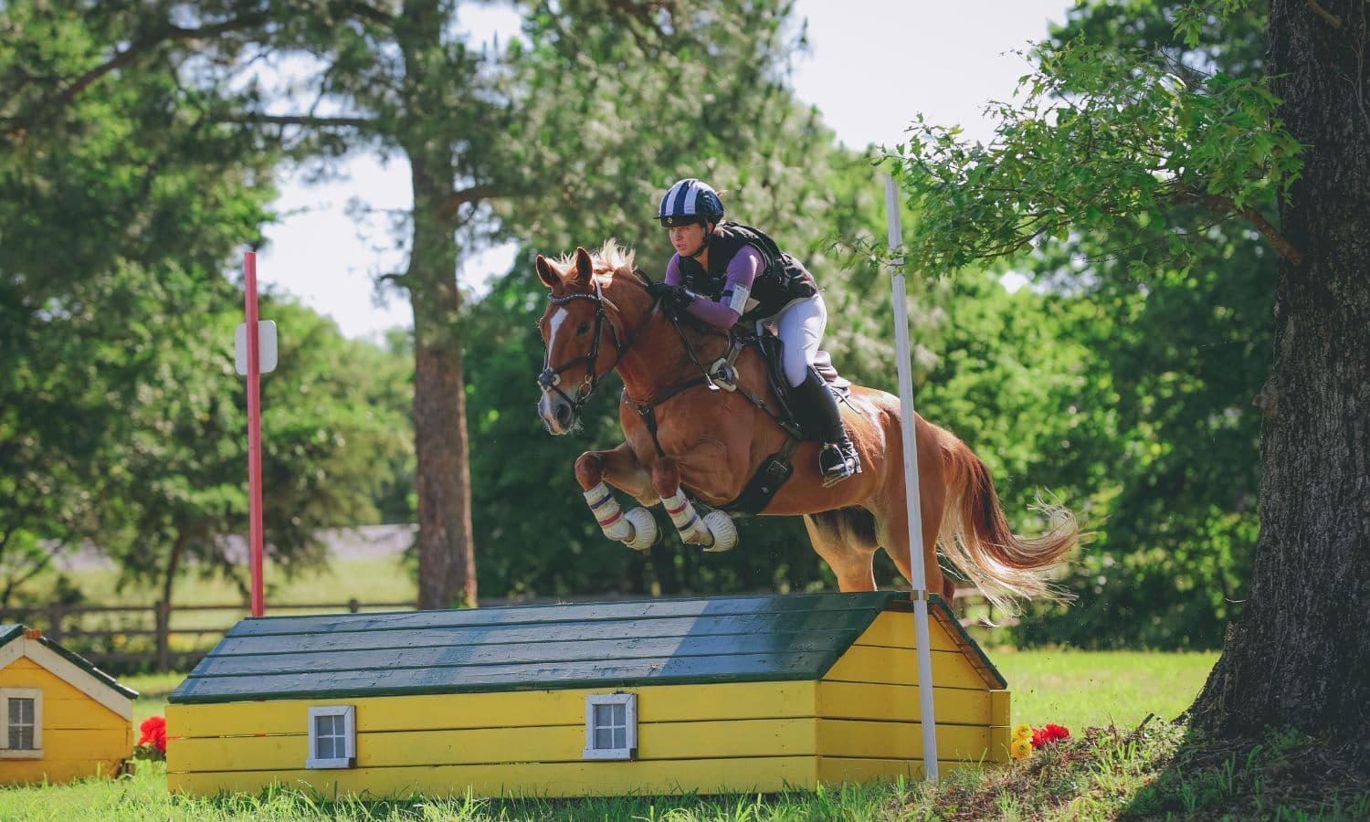 Road to the AEC: Payton Bridges and Her Rescue Quarter Horse Are Heading to the AEC