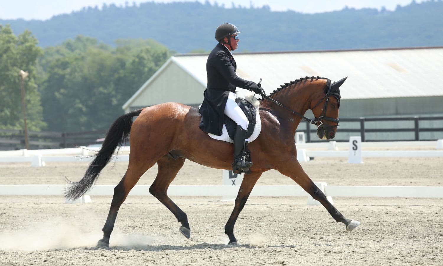 Robin Walker Leads Advanced Division at Millbrook Horse Trials