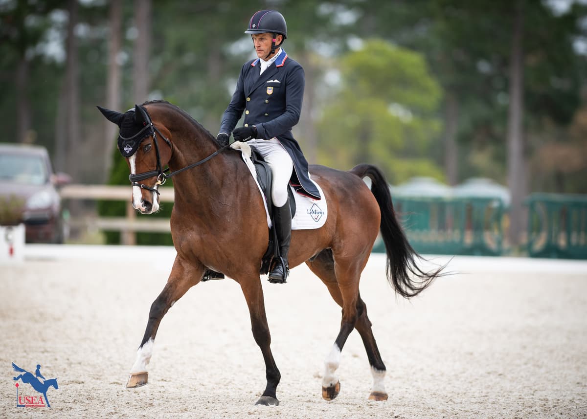 Through the Lens: 2025 Stable View CCI4*-S