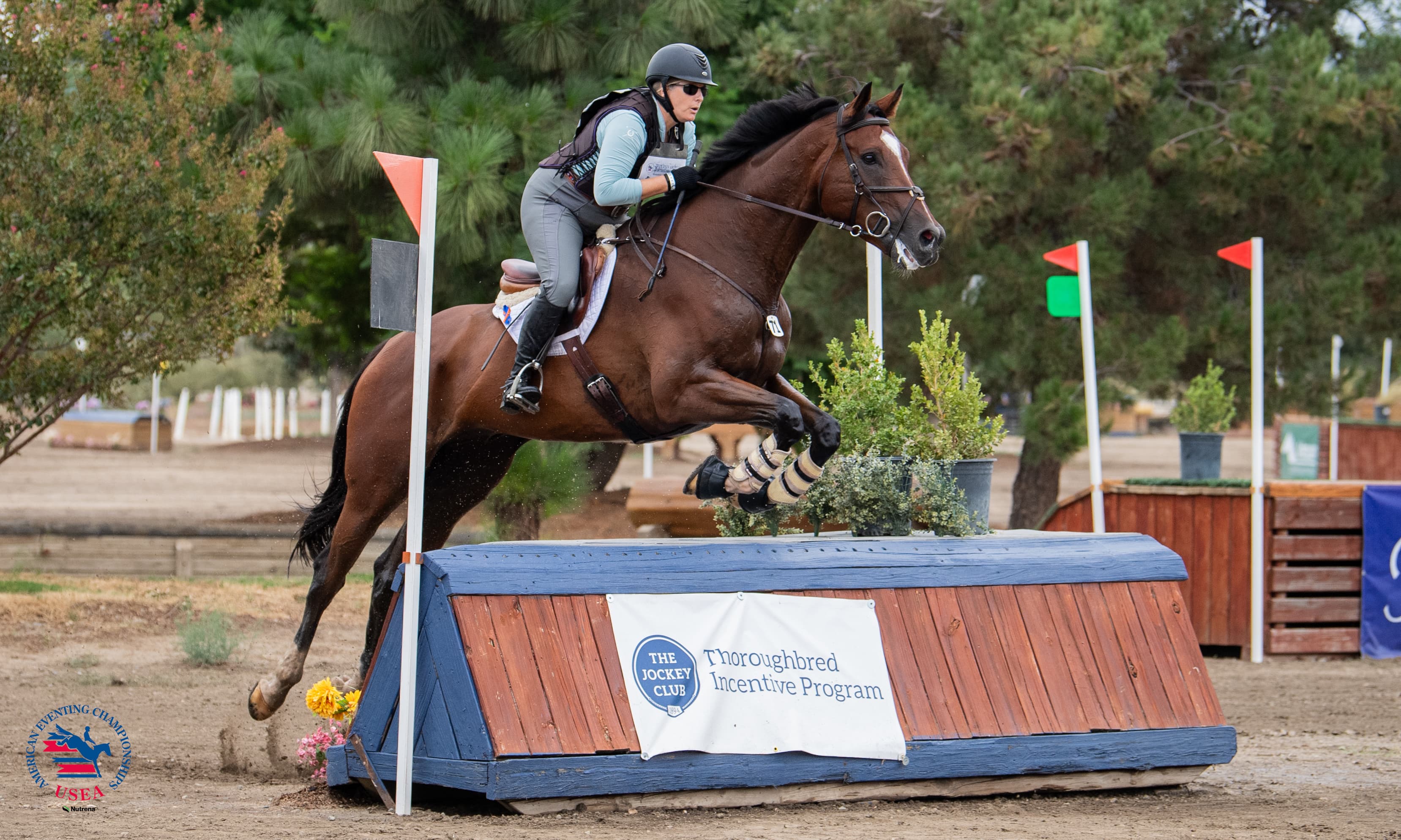 Celebrating the Thoroughbred at the #2025AEC