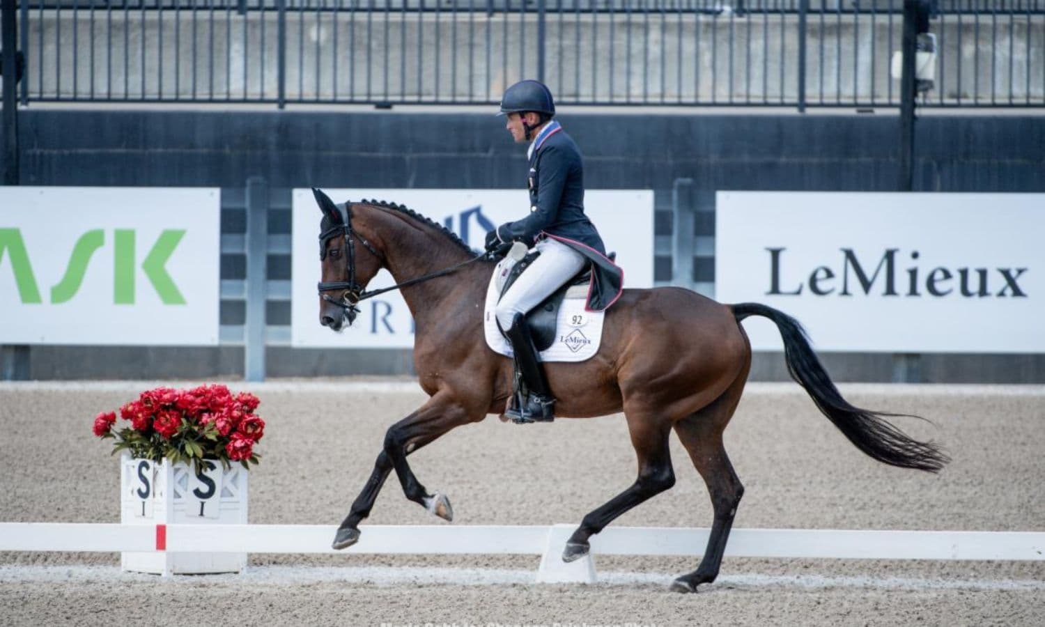 Martin and Luke 140 Lead CCI4*-S After Dressage at The Fork at Tryon International