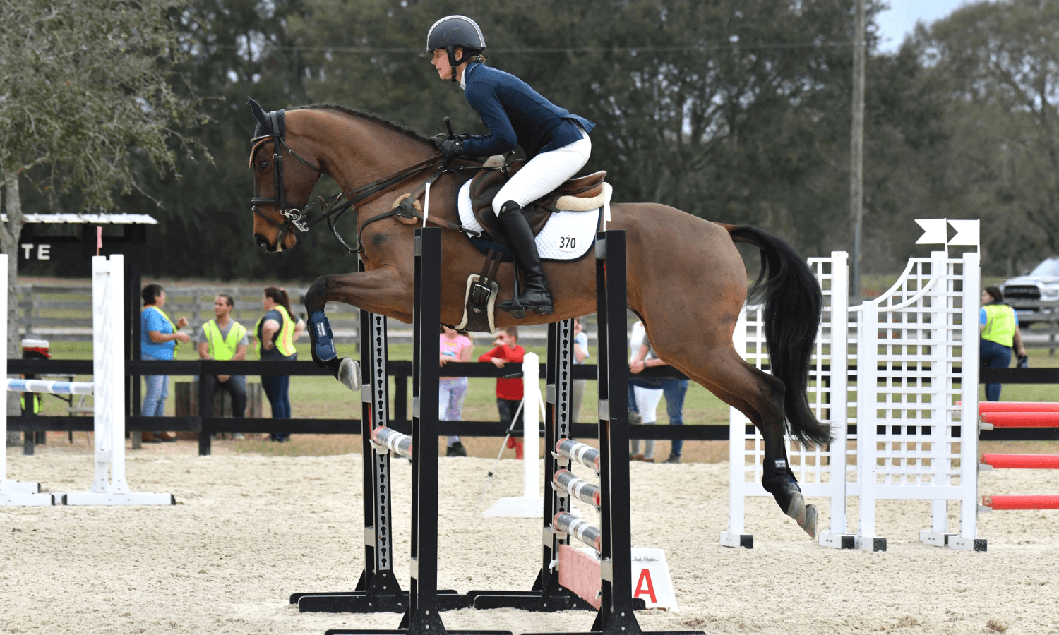 Renew Your USEA Membership Today