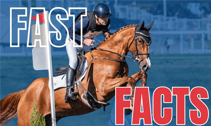 Fast Facts: 2025 USEA Young Event Horse East Coast Championships
