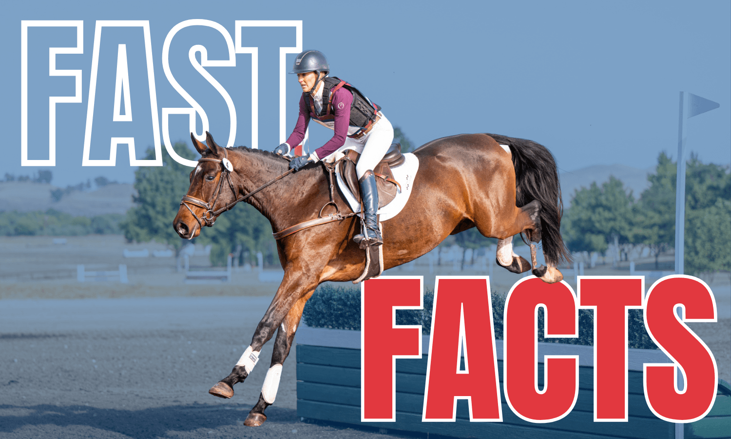 Fast Facts: 2025 USEA Young Event Horse West Coast Championships