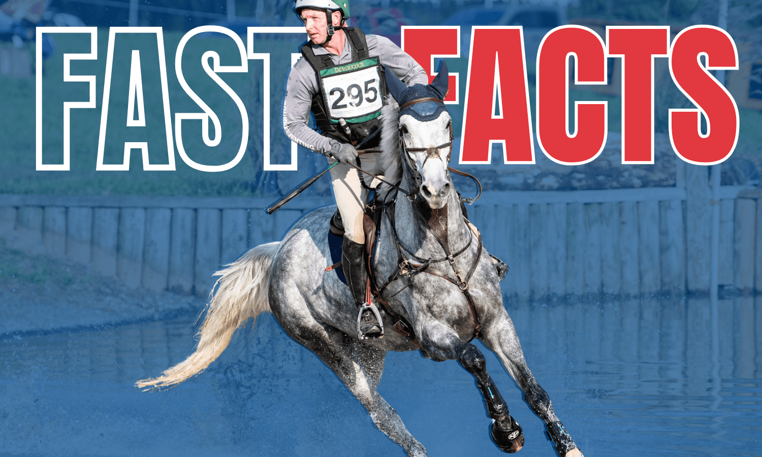 Fast Facts: Morven Park International