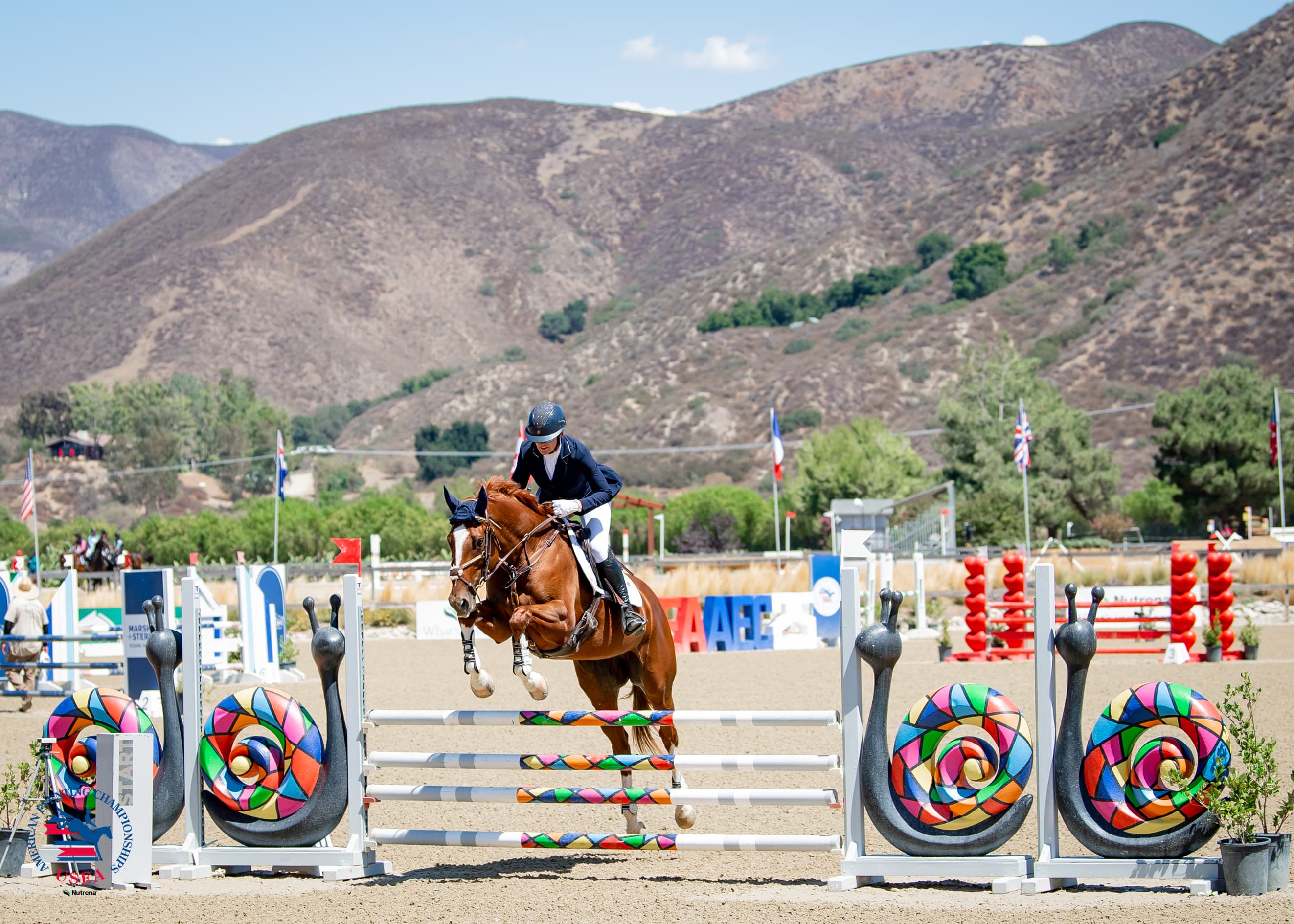 Training Horse Reserve Champions: Jessica Higgins and Billie Jean King HH. USEA/Lindsay Berreth photo