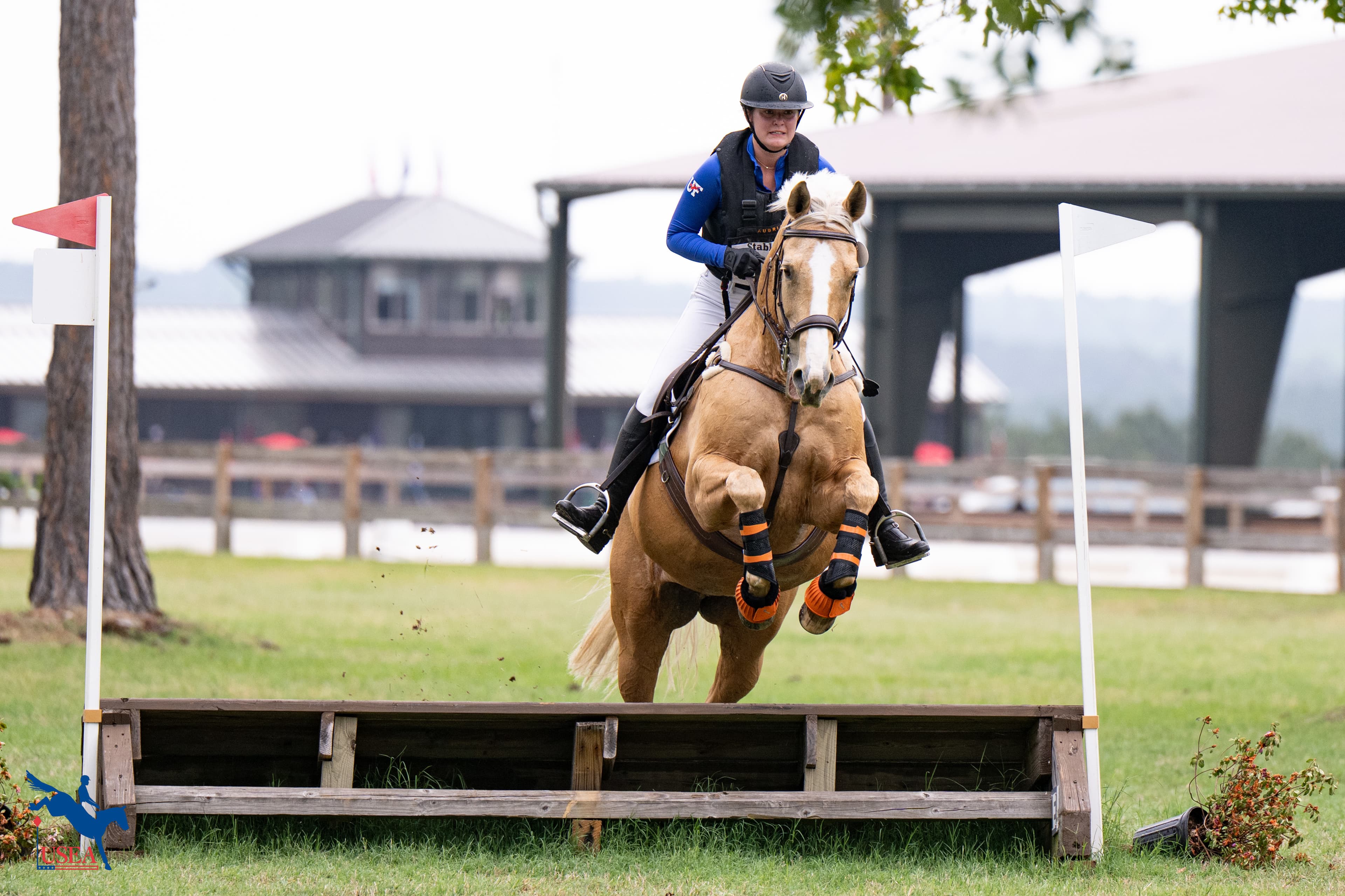 USEA/Veronica Green-Gott photo
