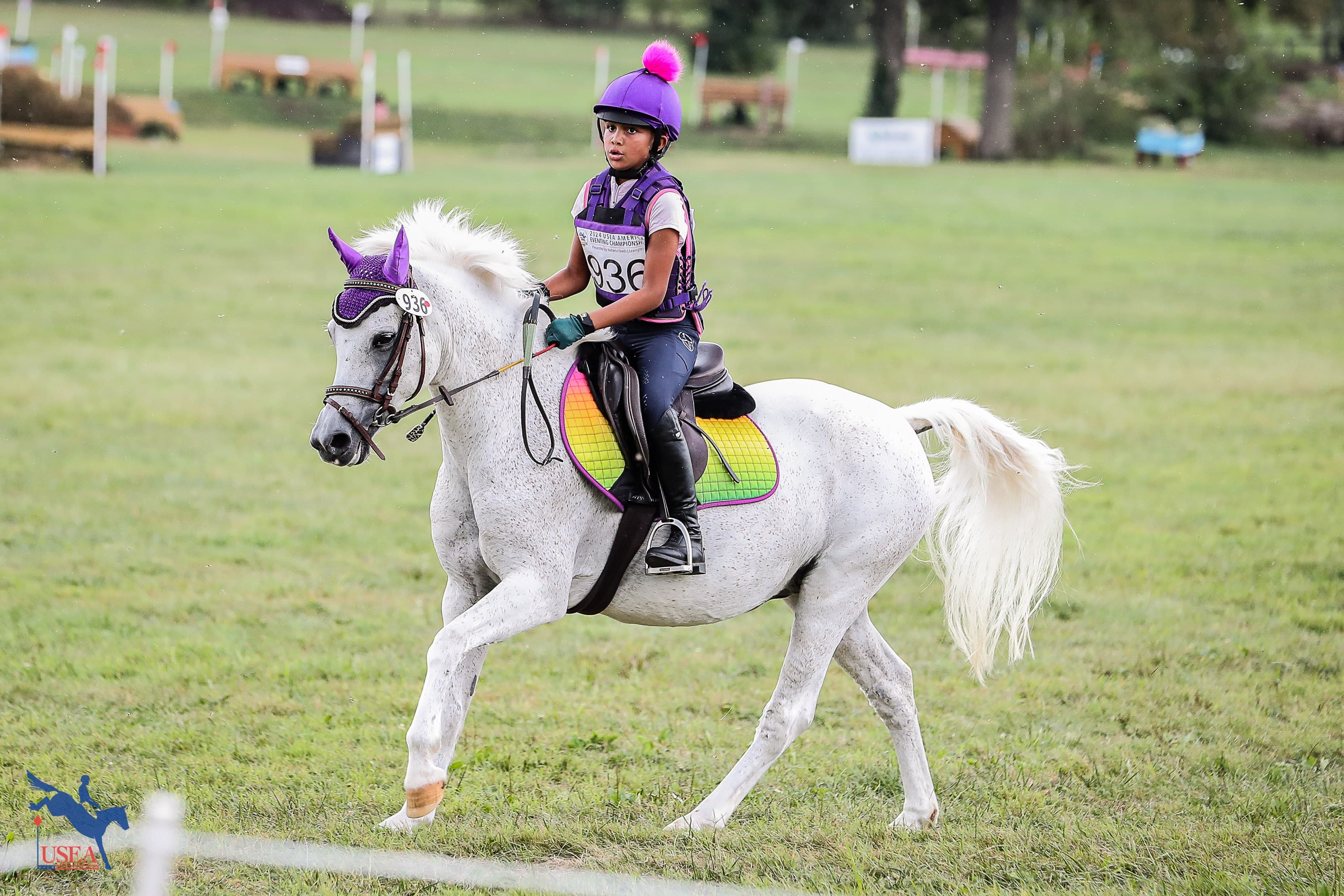 USEA Board Approves New Intro Level
