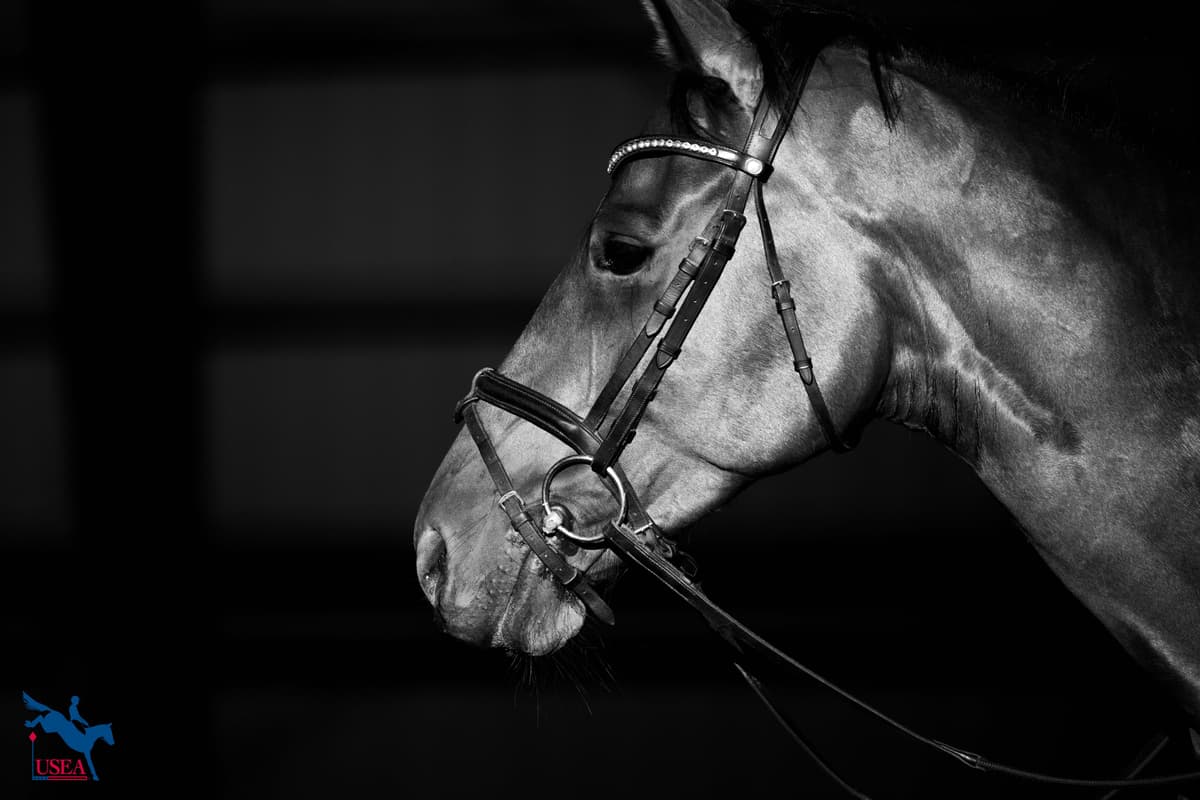 Through the Lens: EA21 West II Clinic