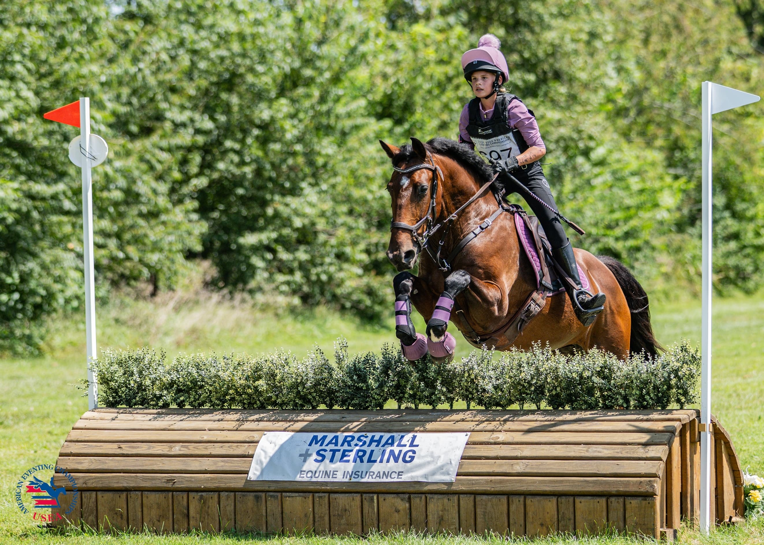 5 Horse Insurance Mistakes to Avoid