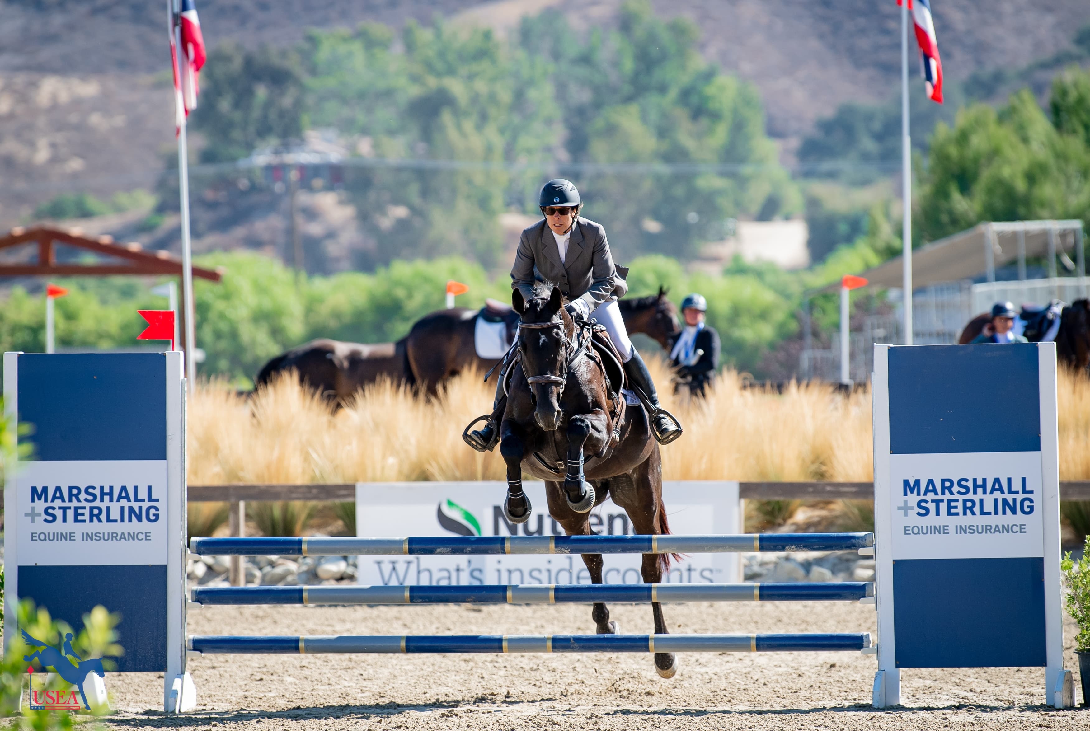 How Much Does Horse Insurance Cost?