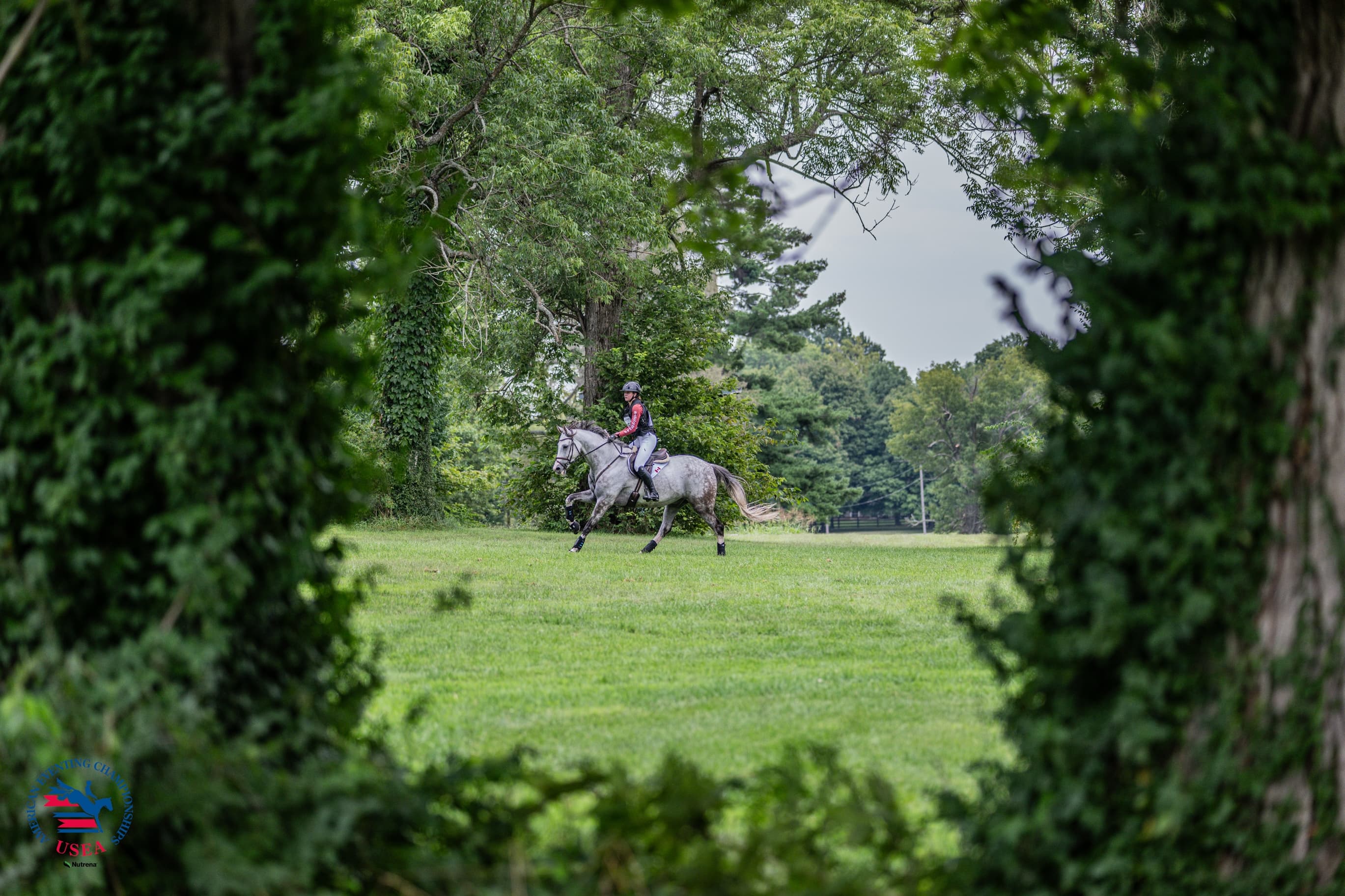 Through the Lens: 2026 USEA American Eventing Championships presented by Nutrena Feeds