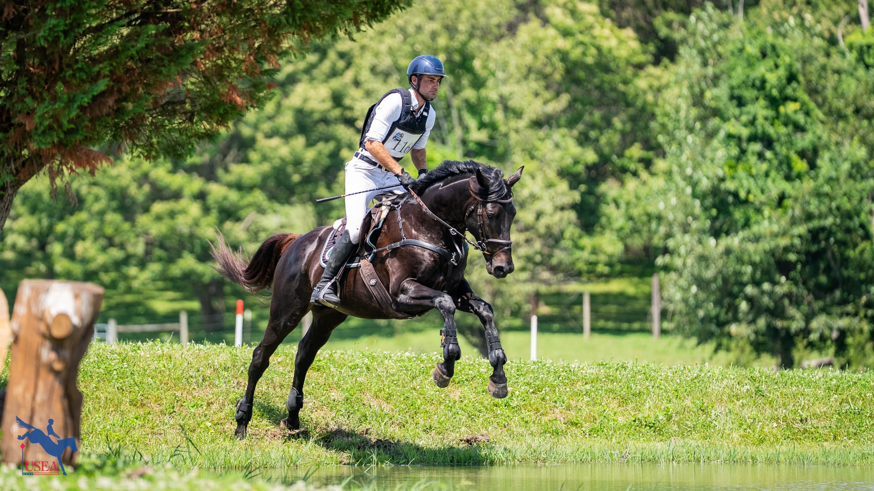 'Kindness and Patience is Key': Introducing Young Horses to Water with Chris Talley