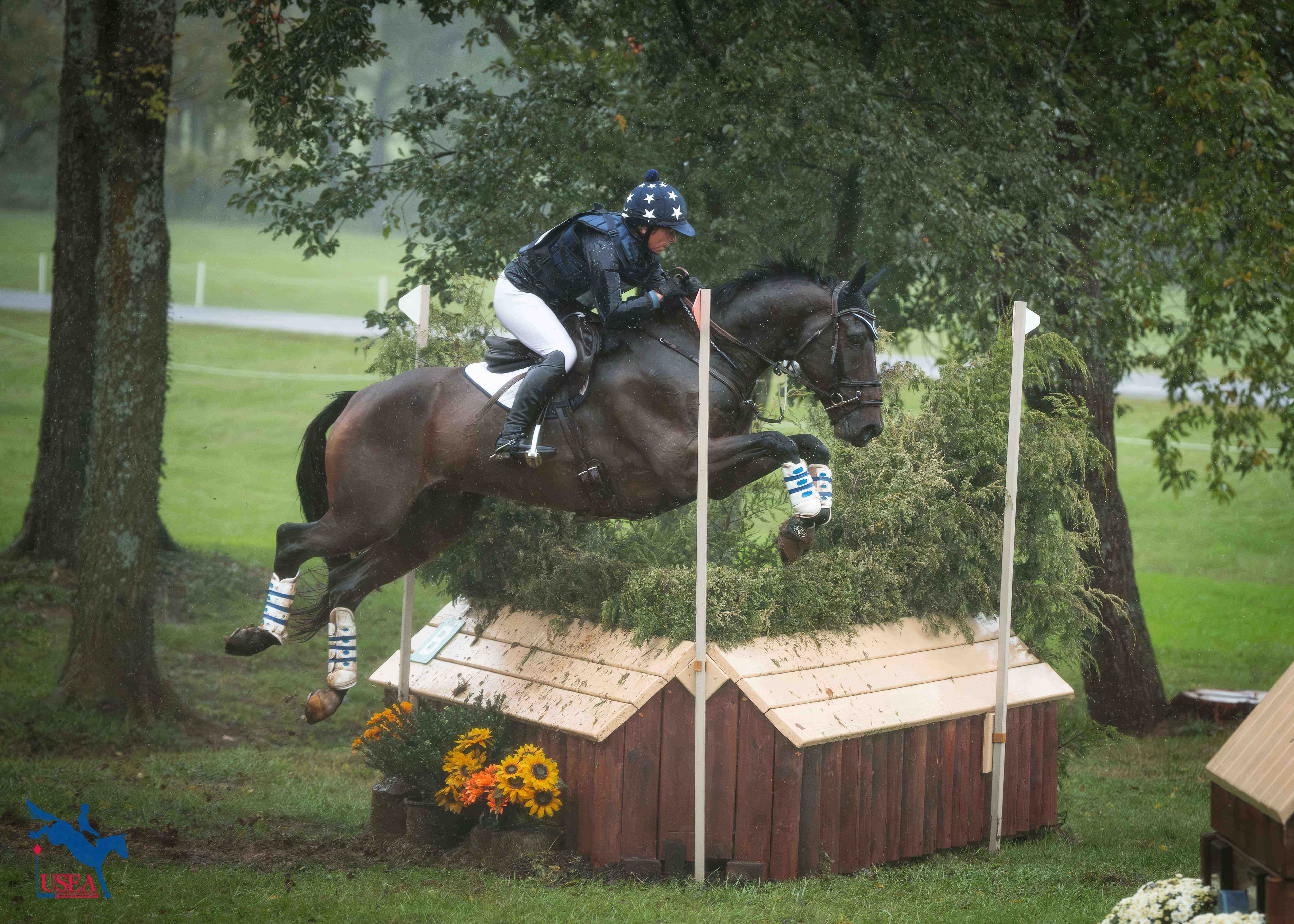 A First FEI Win for MHE Excel Start Noble Icon and Morgan Houberg in USEA/USEF 6-Year-Old Developing Horse National Championship