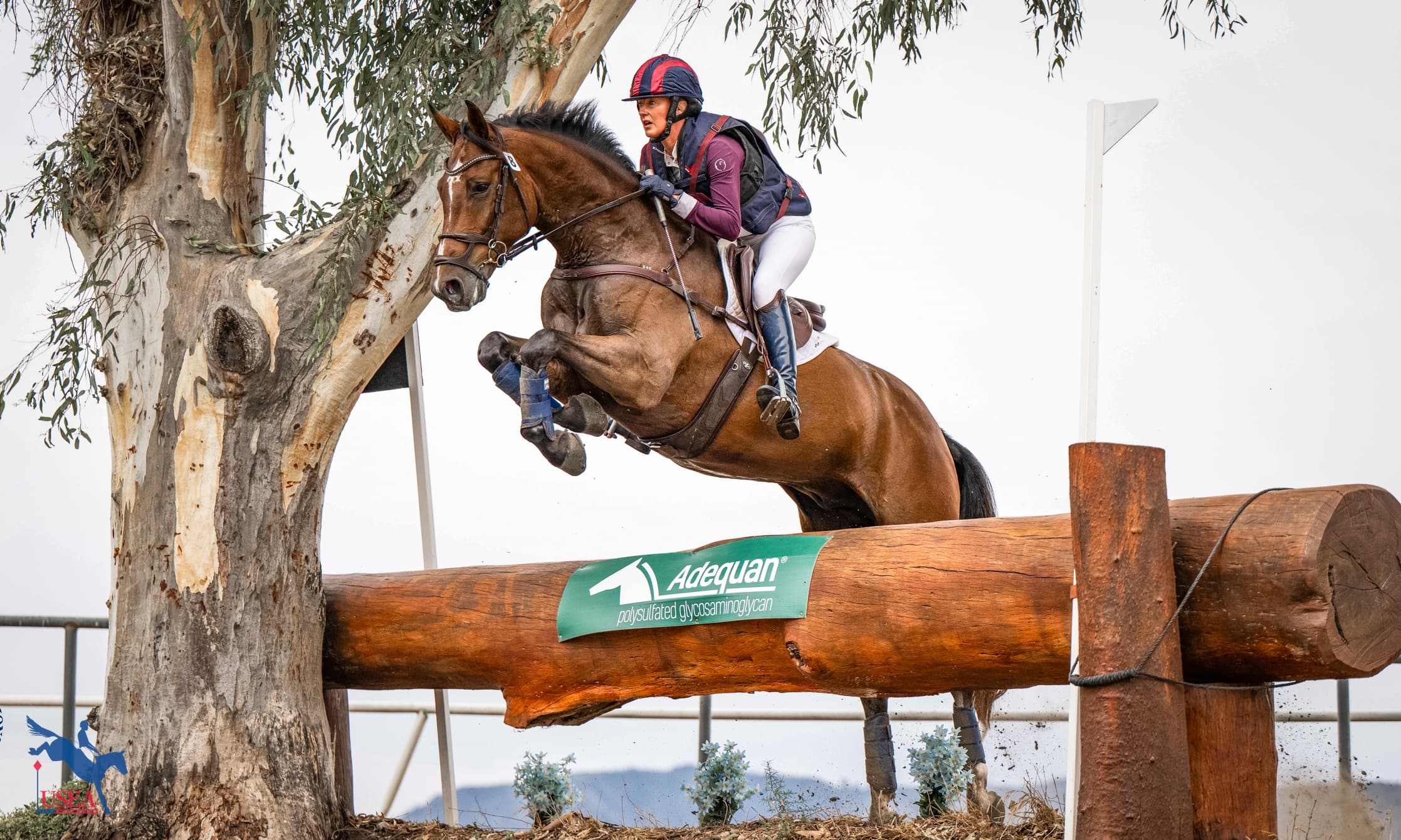 Weekend Quick Links: January 31-February 1