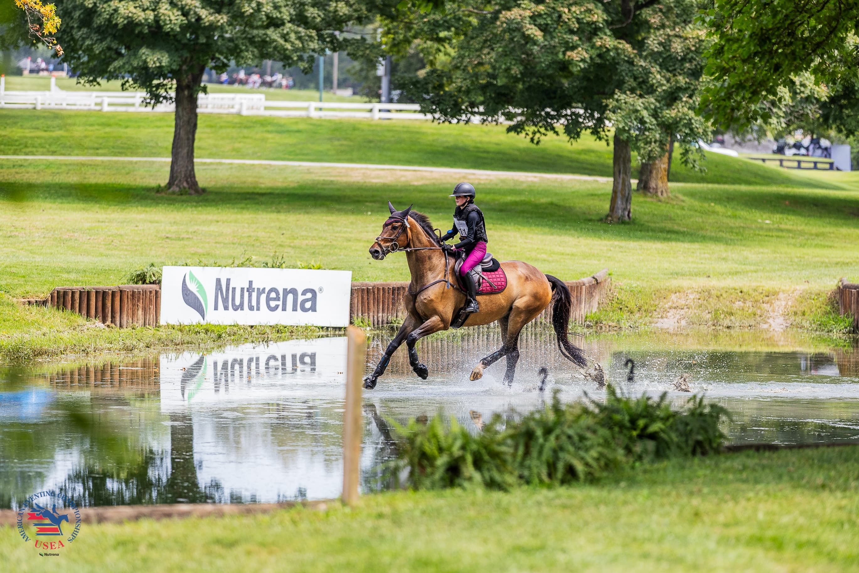 Thank You to the Sponsors of the 2026 USEA American Eventing Championships!